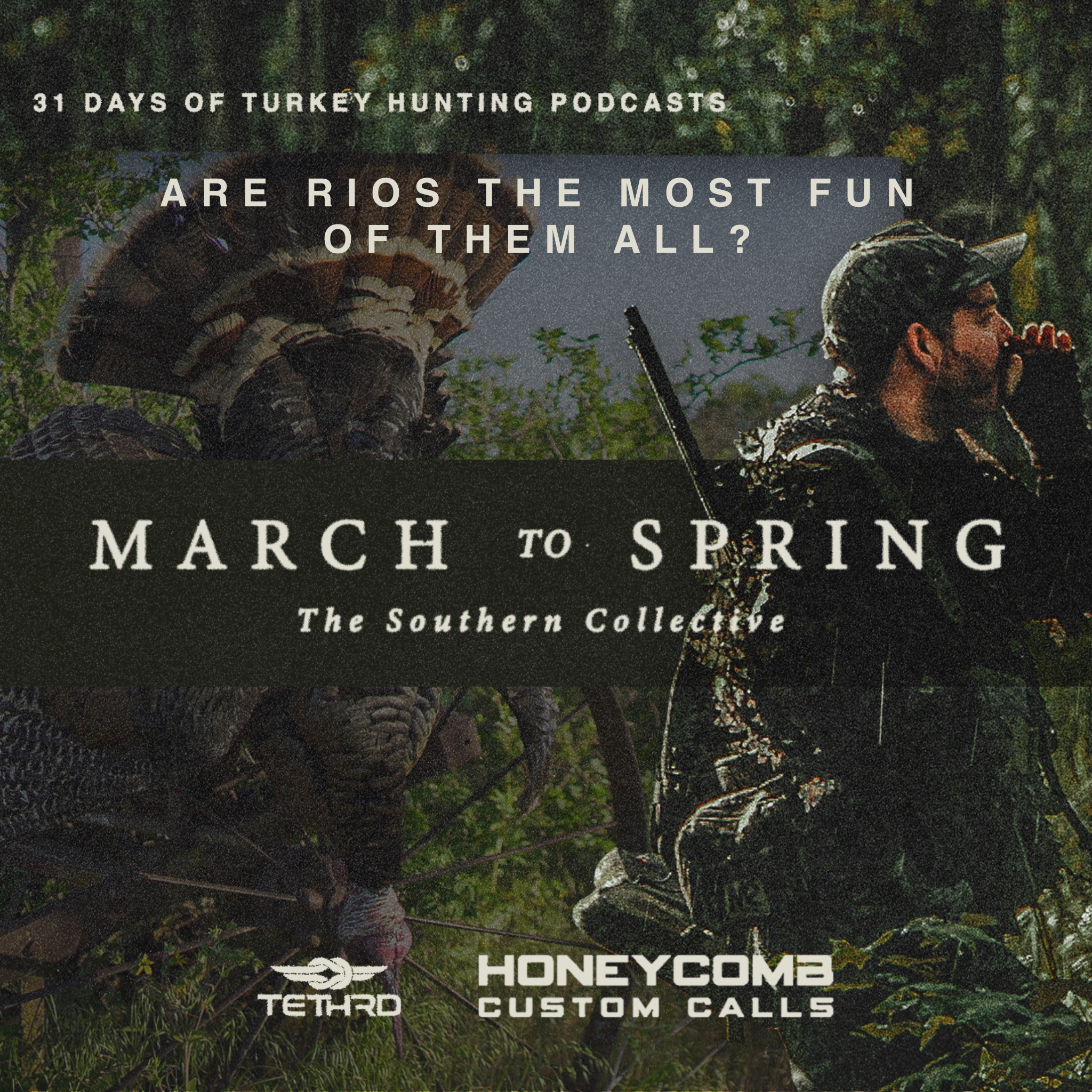 March to Spring: Ep.4 Are Rio's the Most Fun of all? episode artwork