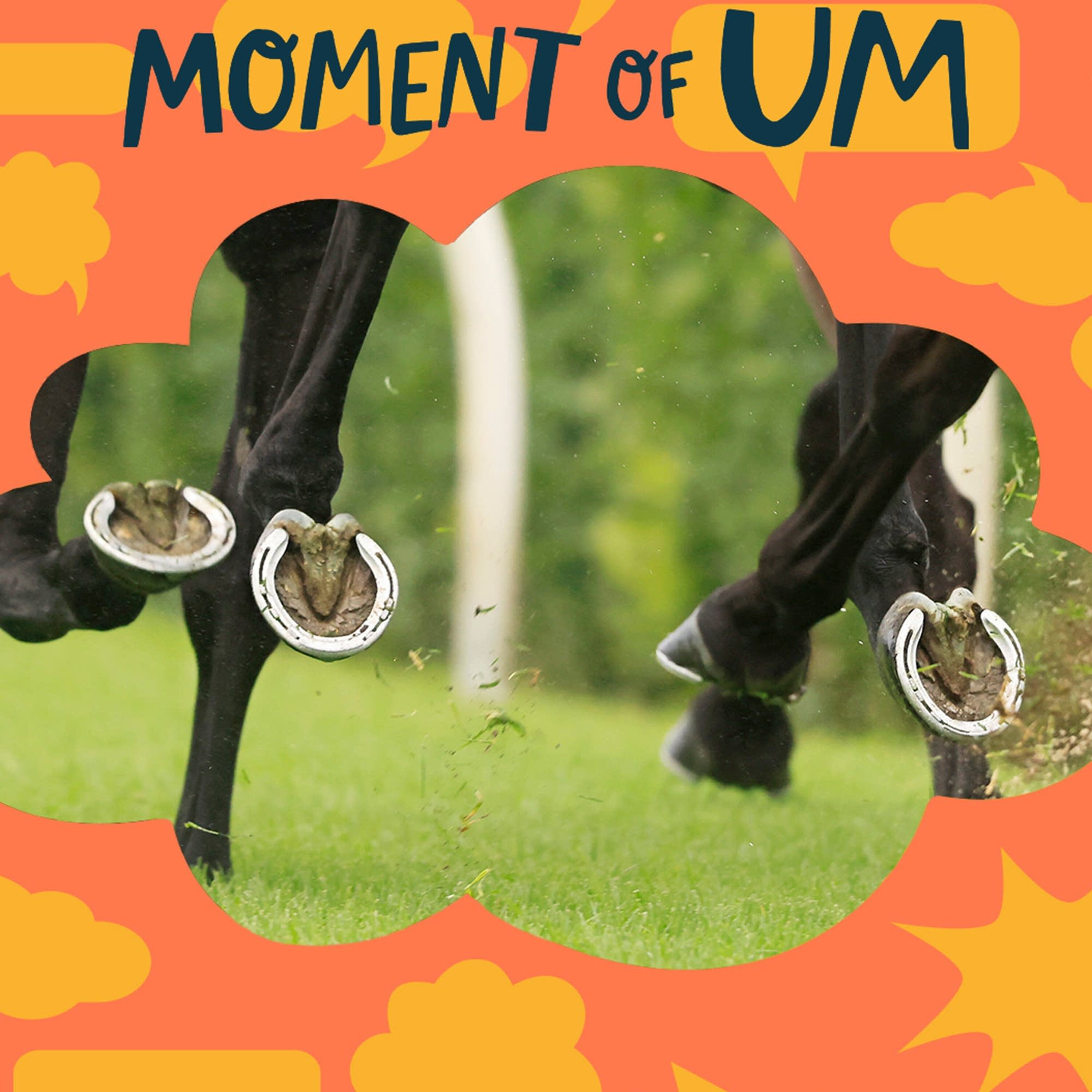 Why do horses need horseshoes?