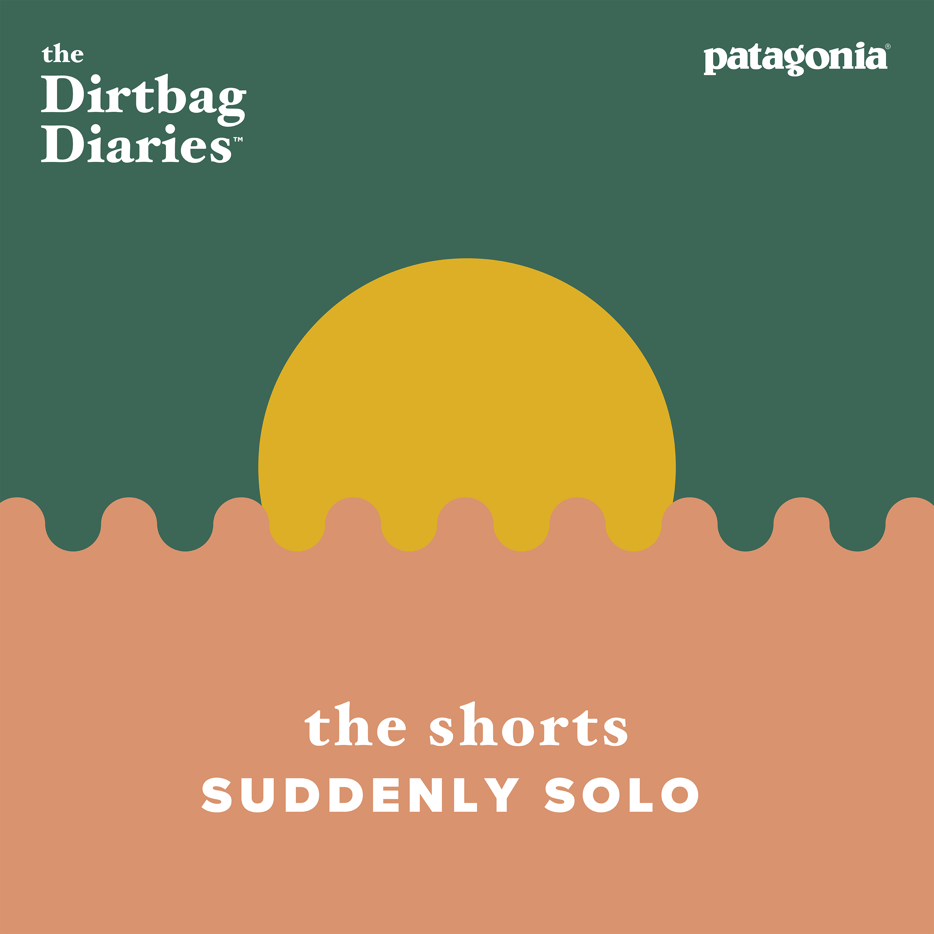 The Shorts -- Suddenly Solo