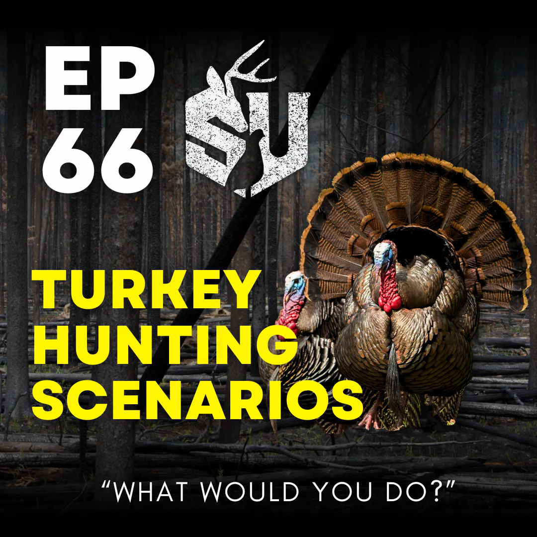 EP 66: Turkey Hunting Scenarios (What Would You Do?) episode artwork