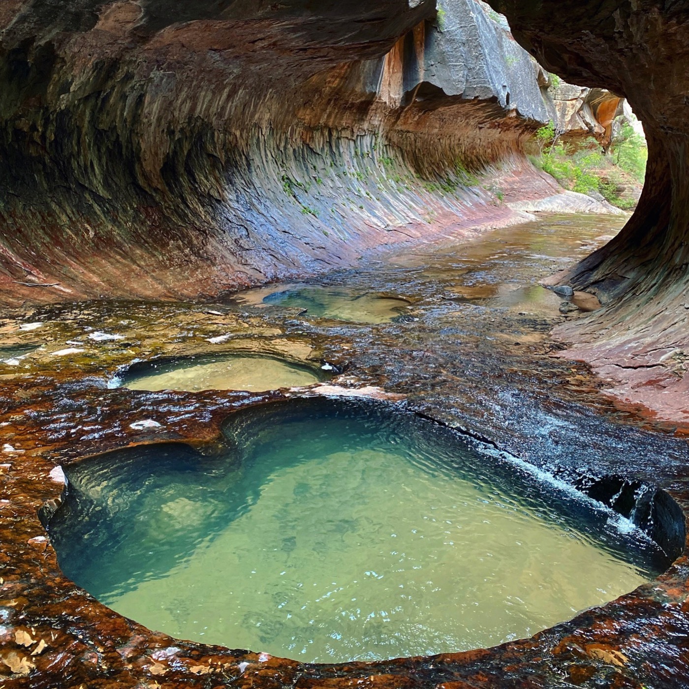 #53: Zion's Epic Subway Hike