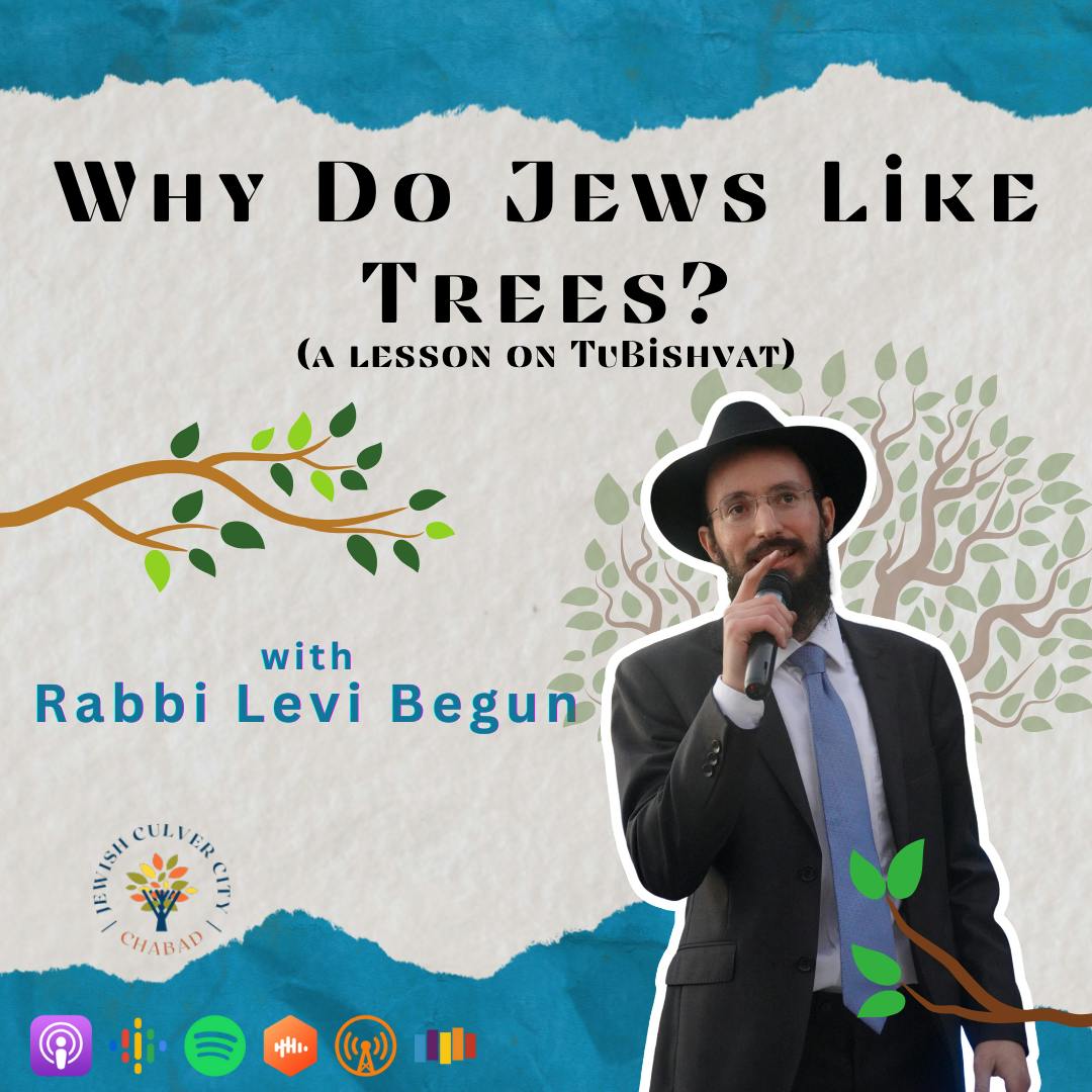 Why Do Jews Like Trees? with Rabbi Levi Begun (a lesson on TuBishvat)