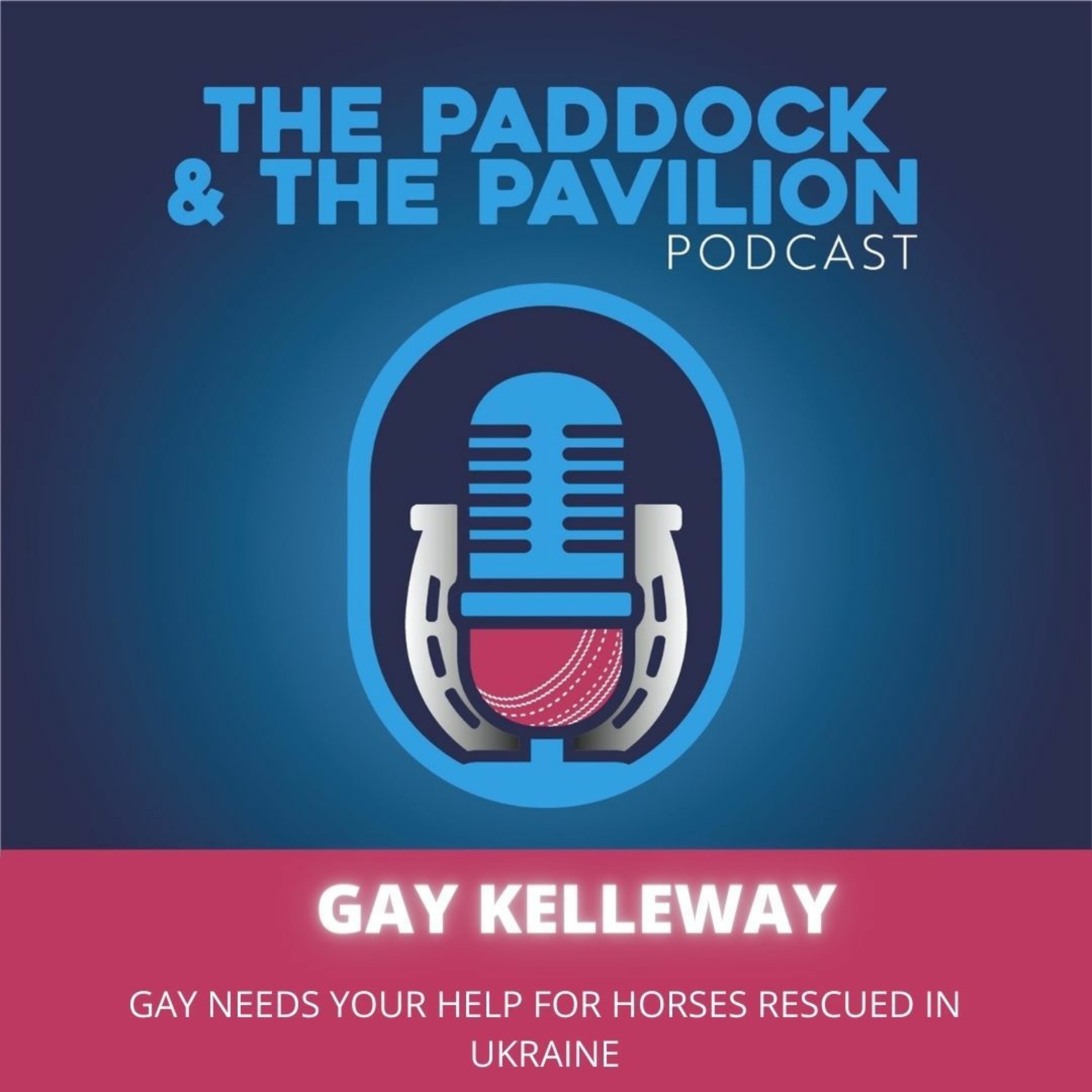 Ep 117 - Gay Kelleway - Gay needs your help for horses rescued in Ukraine episode artwork