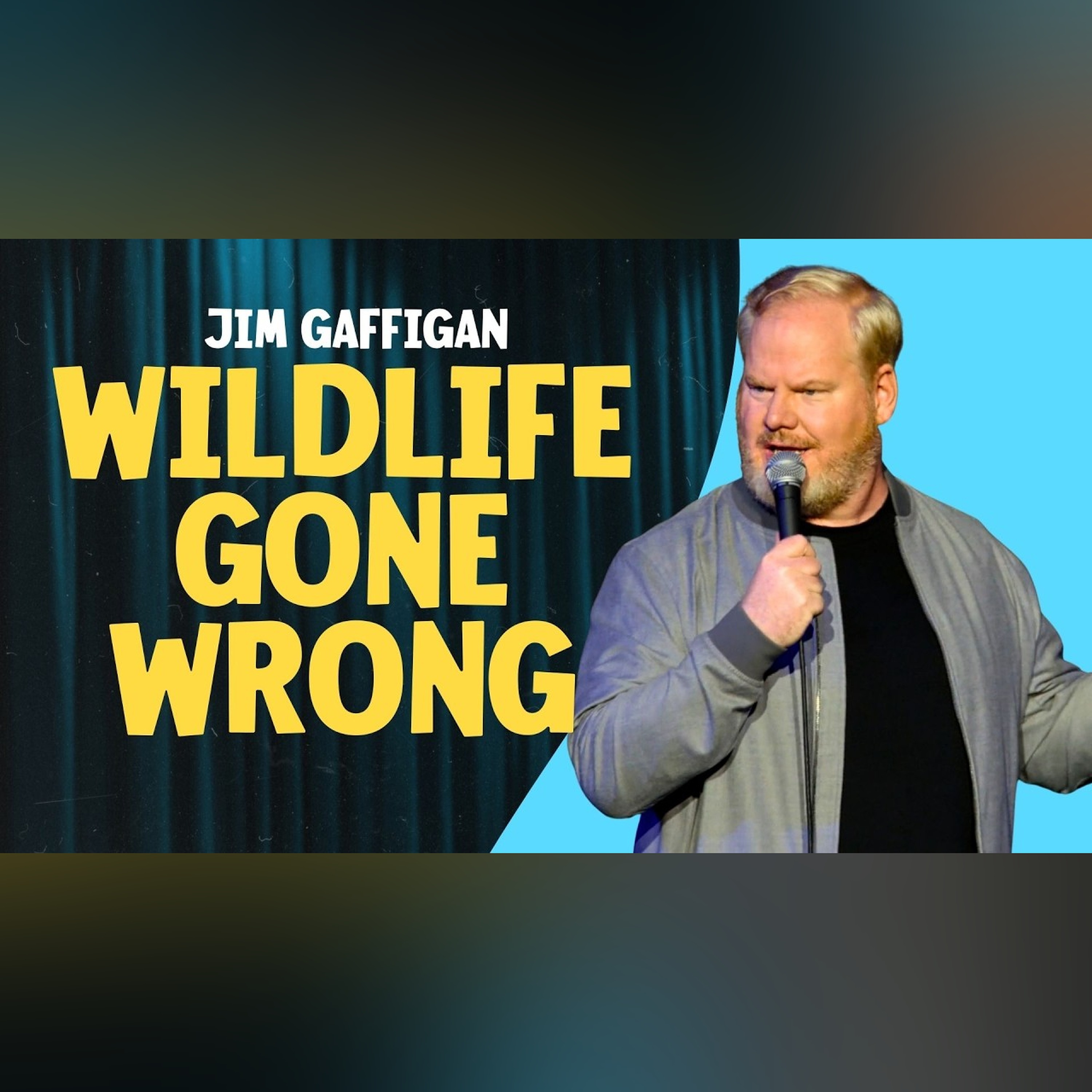 Best of Jim Gaffigan: Moose, Bears, and Bad Decisions episode artwork