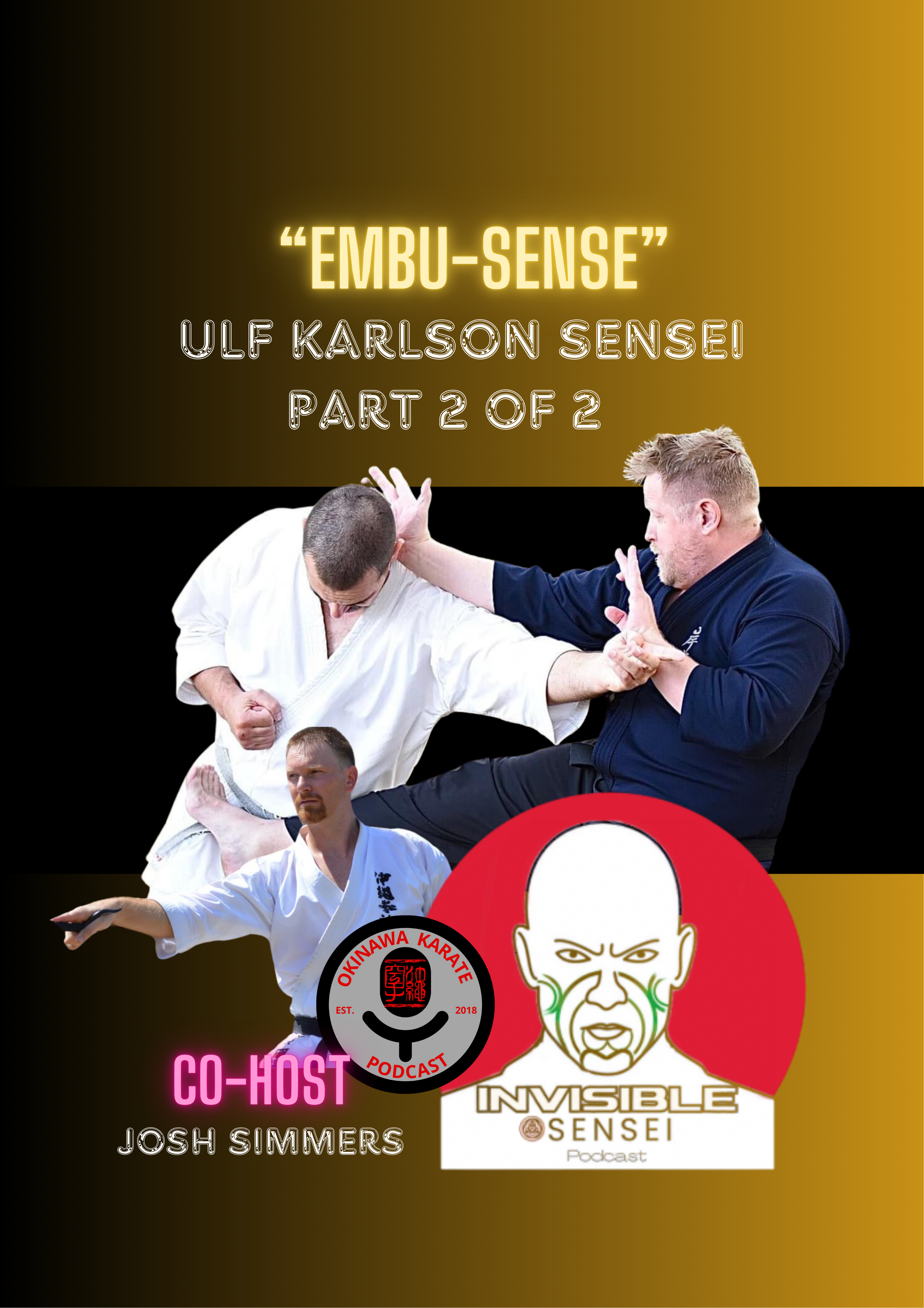 "Embu-Sense" Ulf Karlsson Sensei Part: 2 of 2 episode artwork