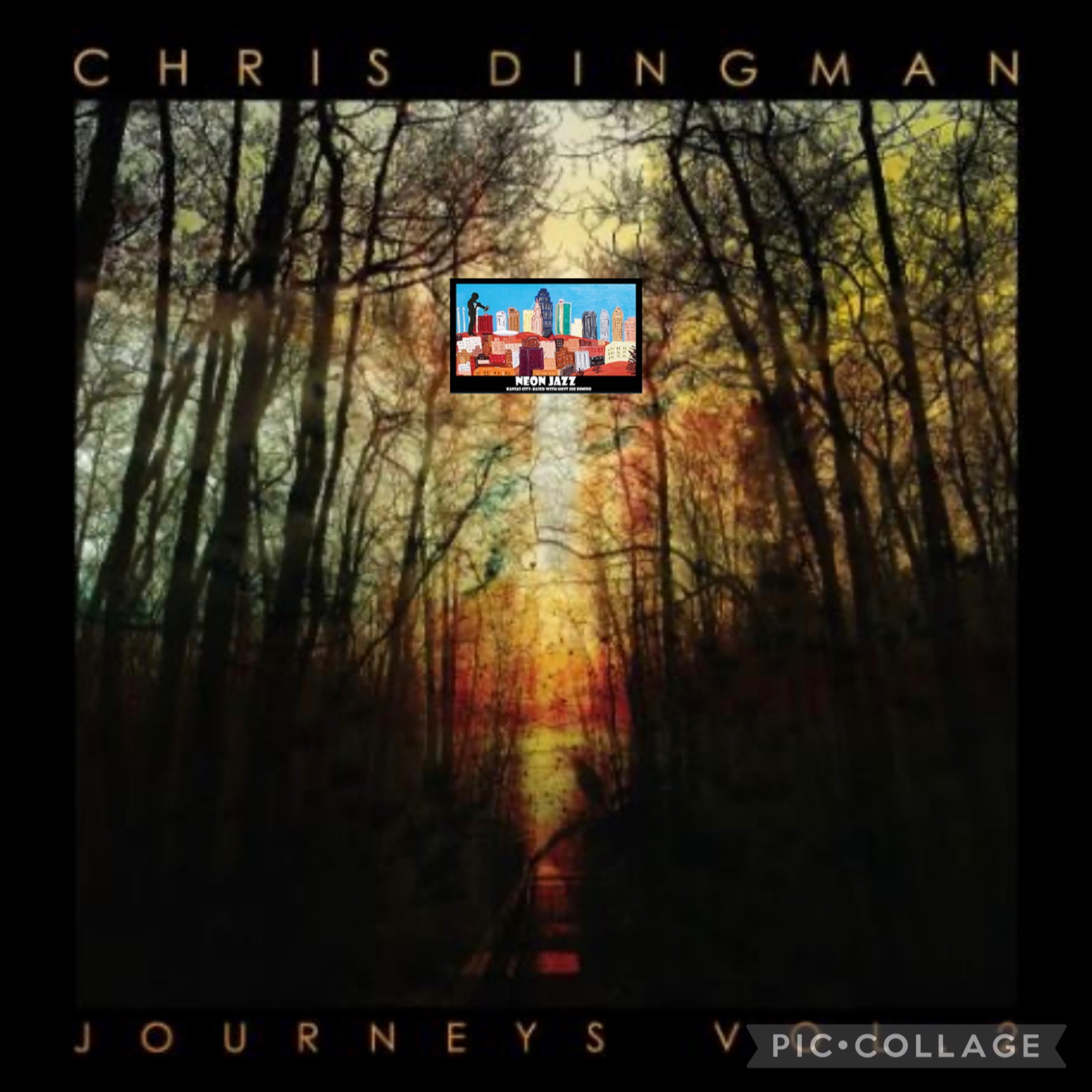 A Neon Jazz Interview with Jazz Vibraphonist Chris Dingman on the 2022 CD Journeys Vol. 2