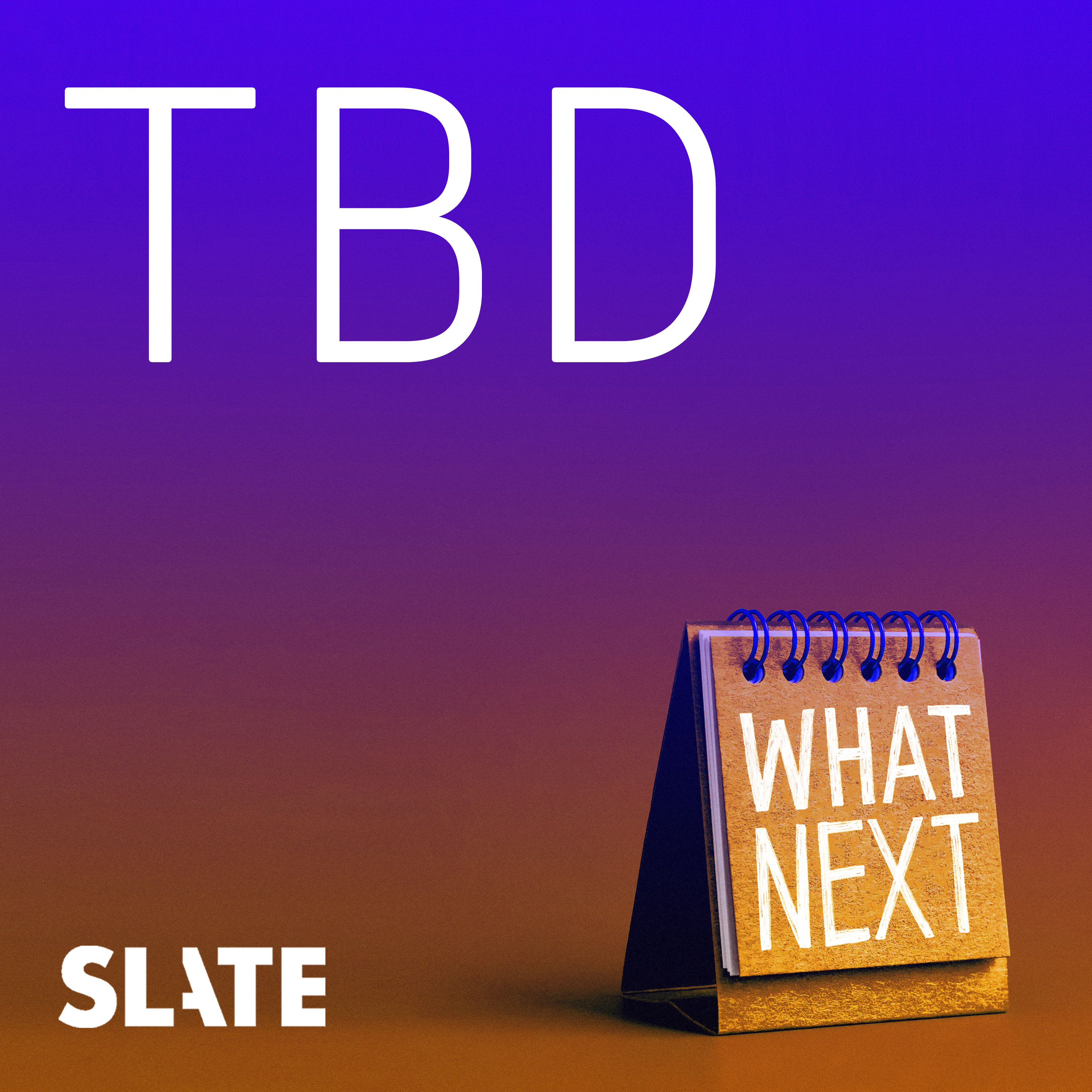 What Next TBD: What Elon Wants From Trump