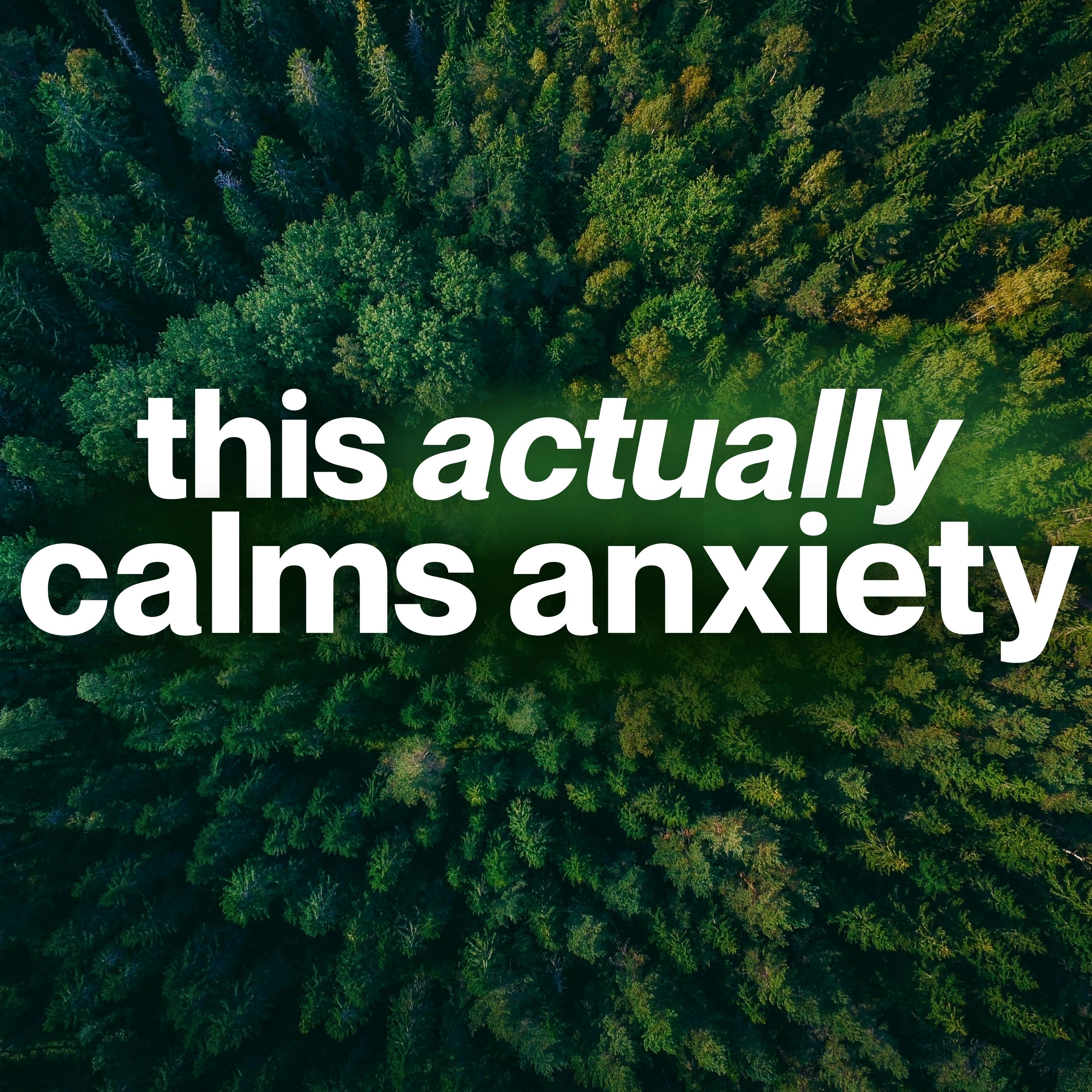 A 10 Minute Meditation That Actually Quiets Anxiety episode artwork