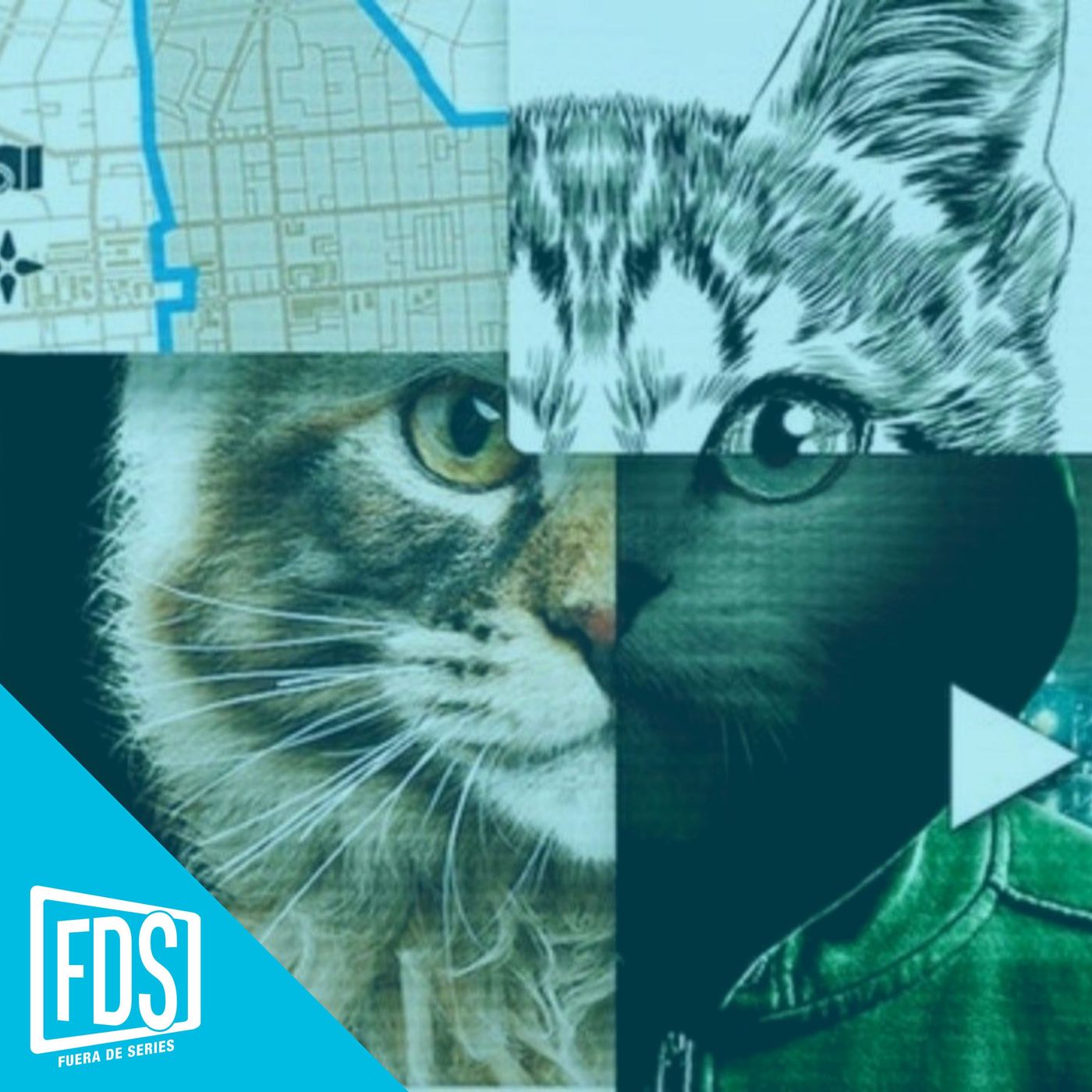 FDS Review : 'A los gatos ni tocarlos'