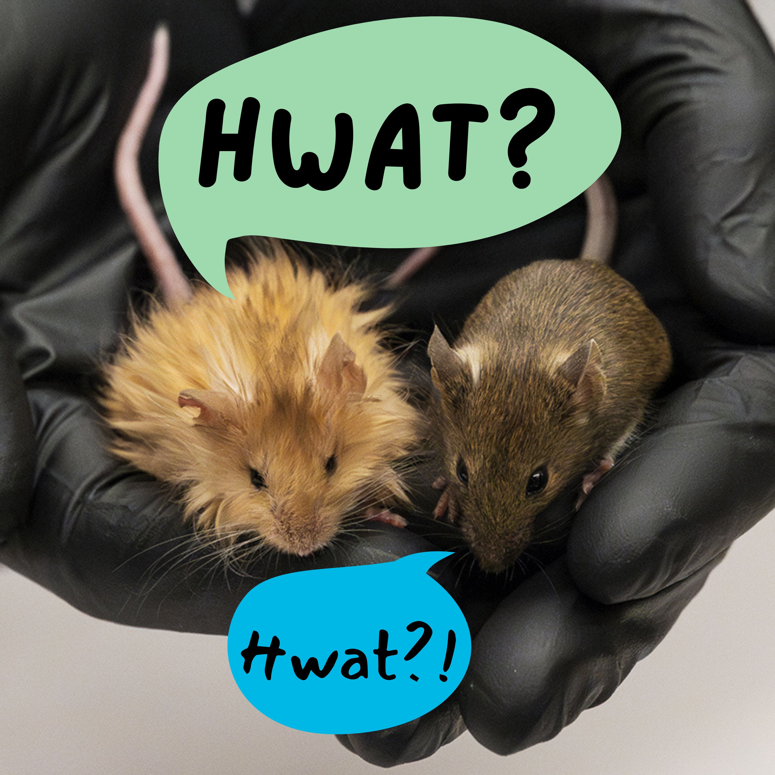 23: Dying Mid-High-Five