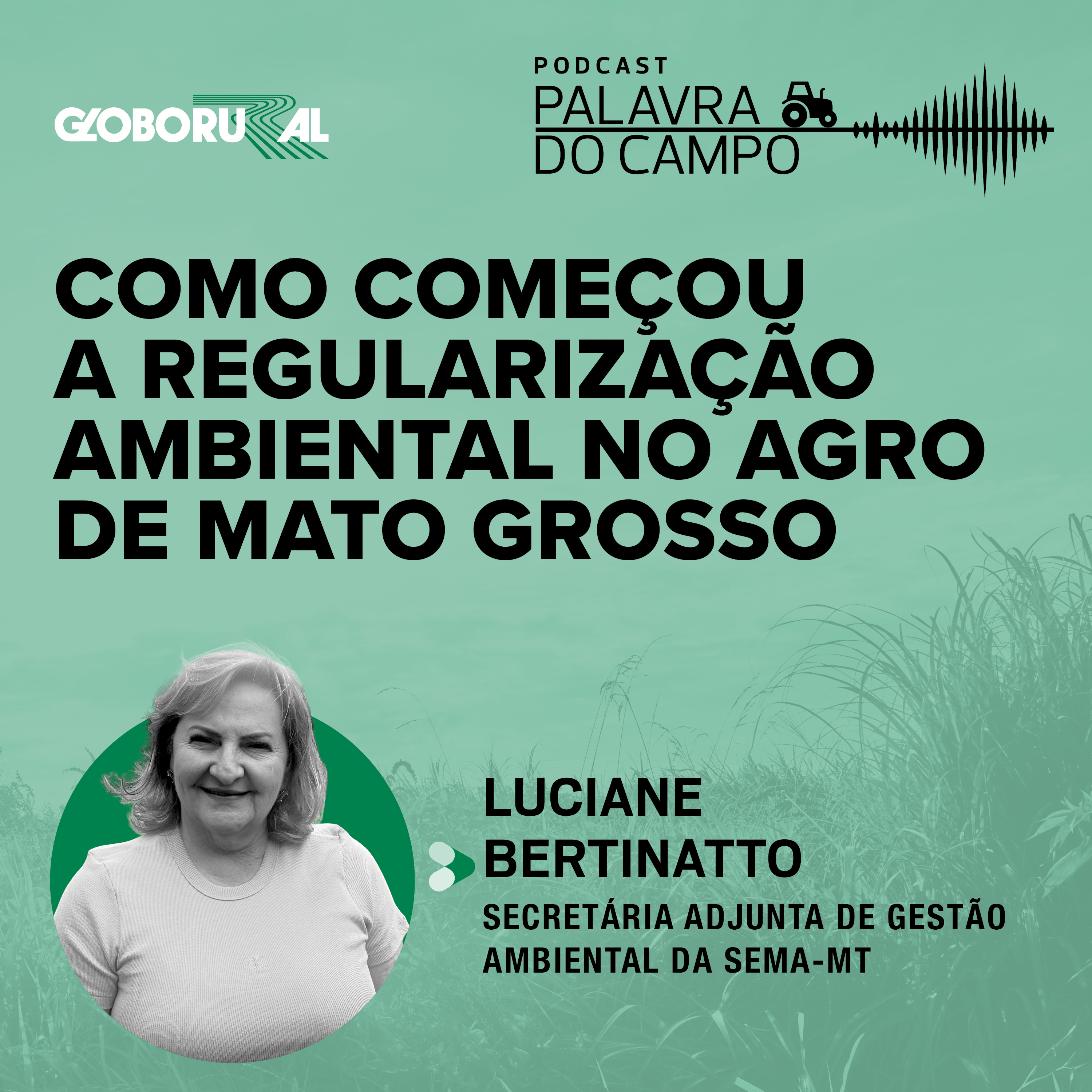 Os avanços e desafios da regularização ambiental em Mato Grosso