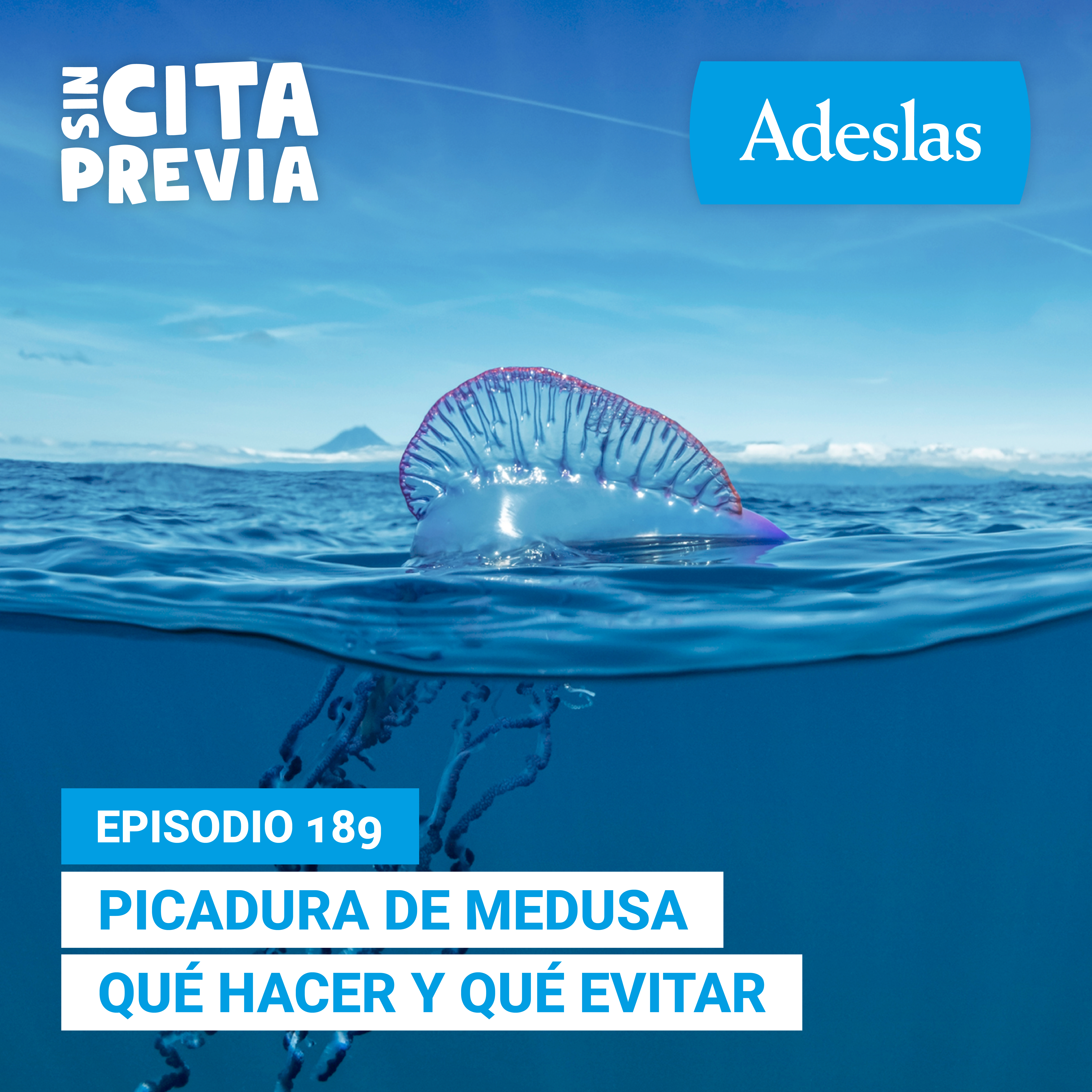 Picadura de medusa qué hacer y qué evitar