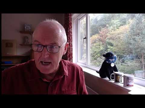 Pandemics and ivermectin safety
