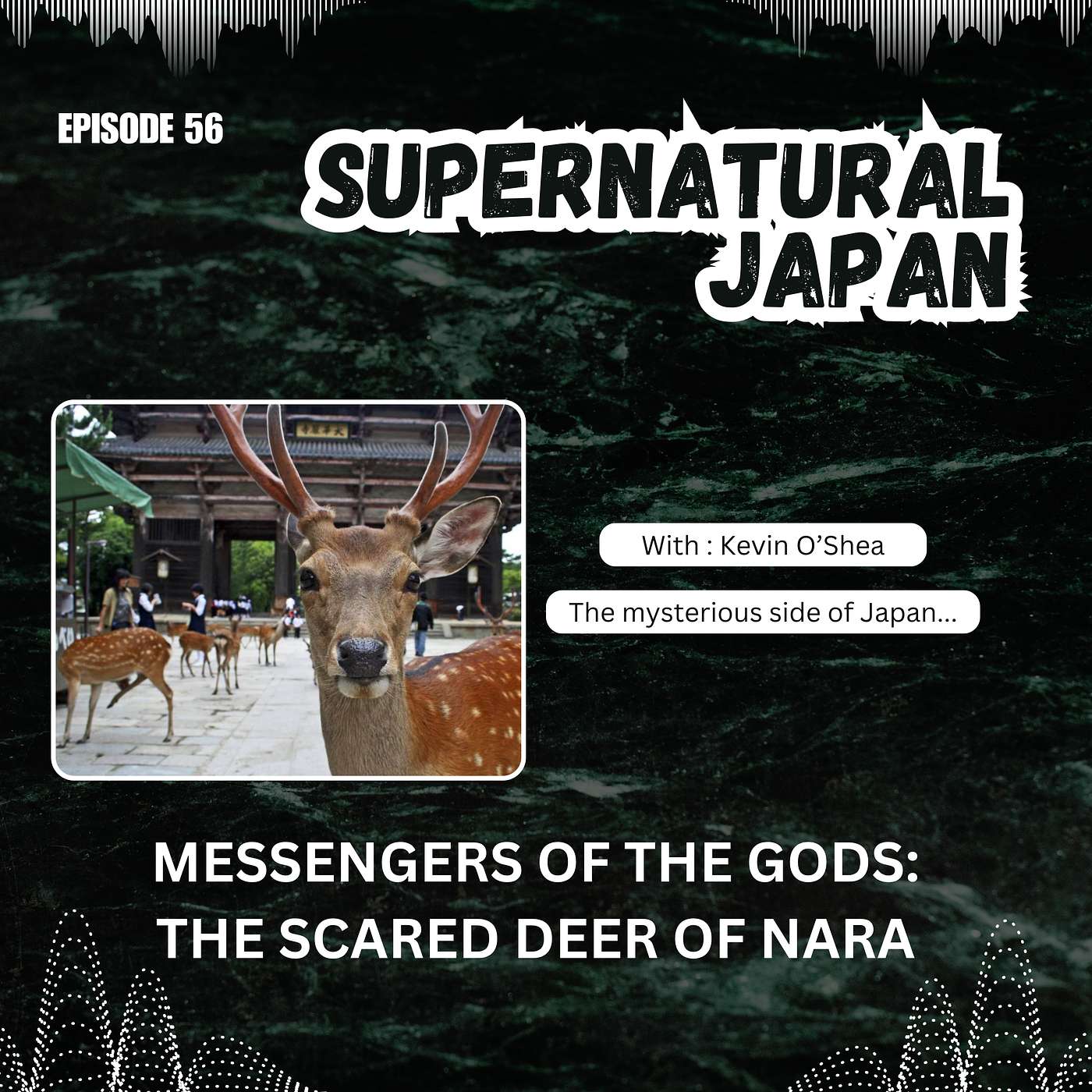 Messengers of the Gods: The Sacred Deer of Nara