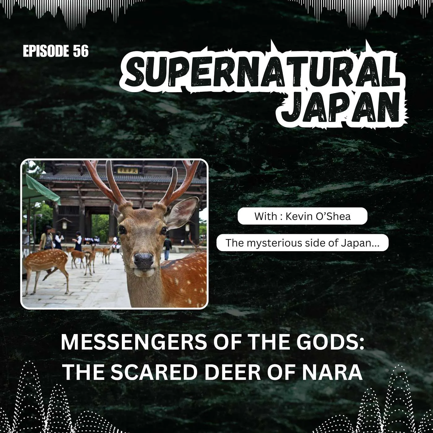 Messengers of the Gods: The Sacred Deer of Nara