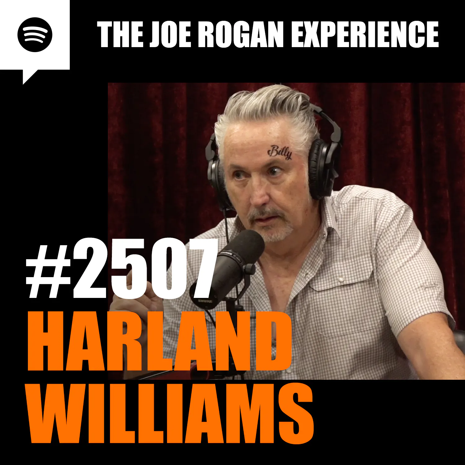 The Joe Rogan Experience artwork
