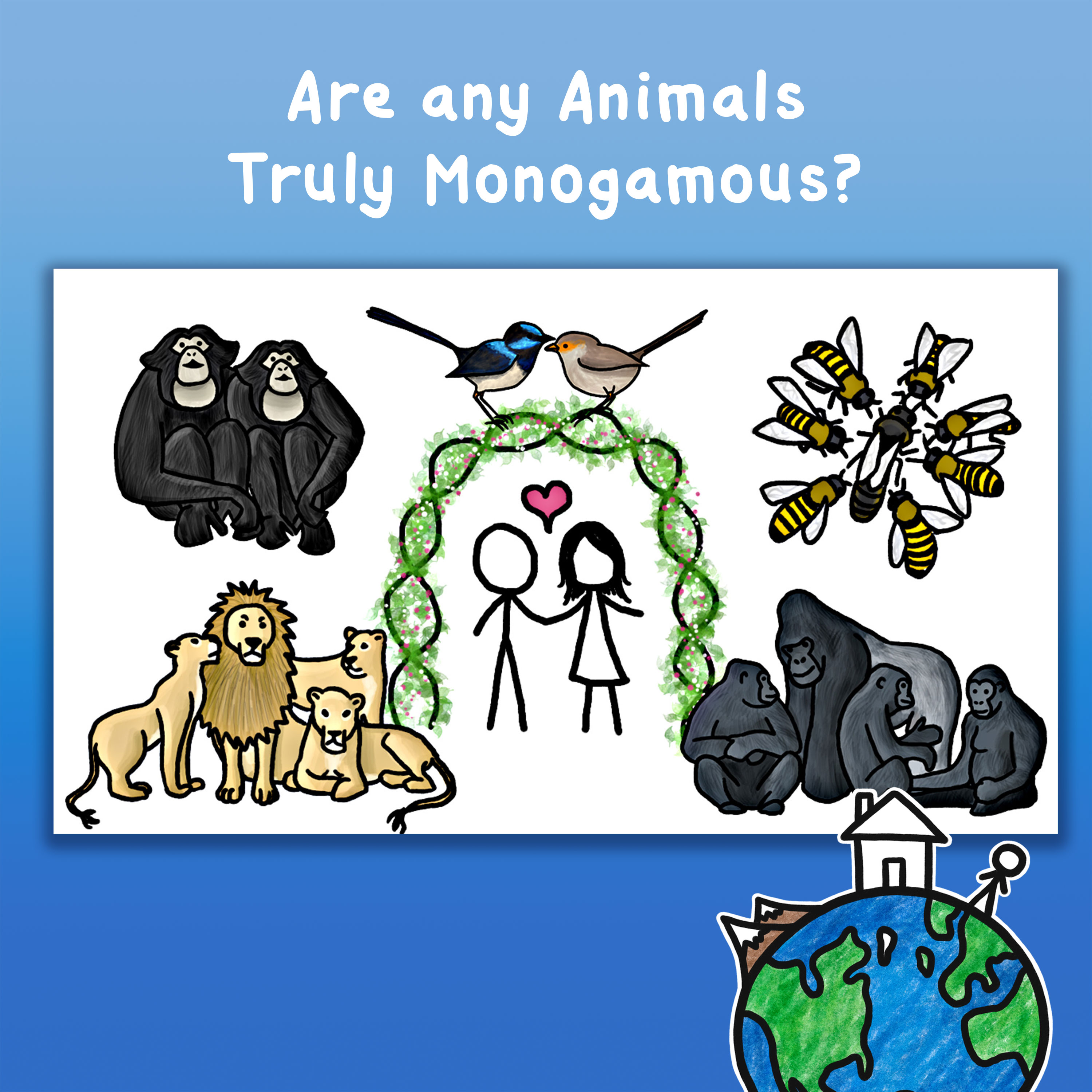 Are any Animals Truly Monogamous?
