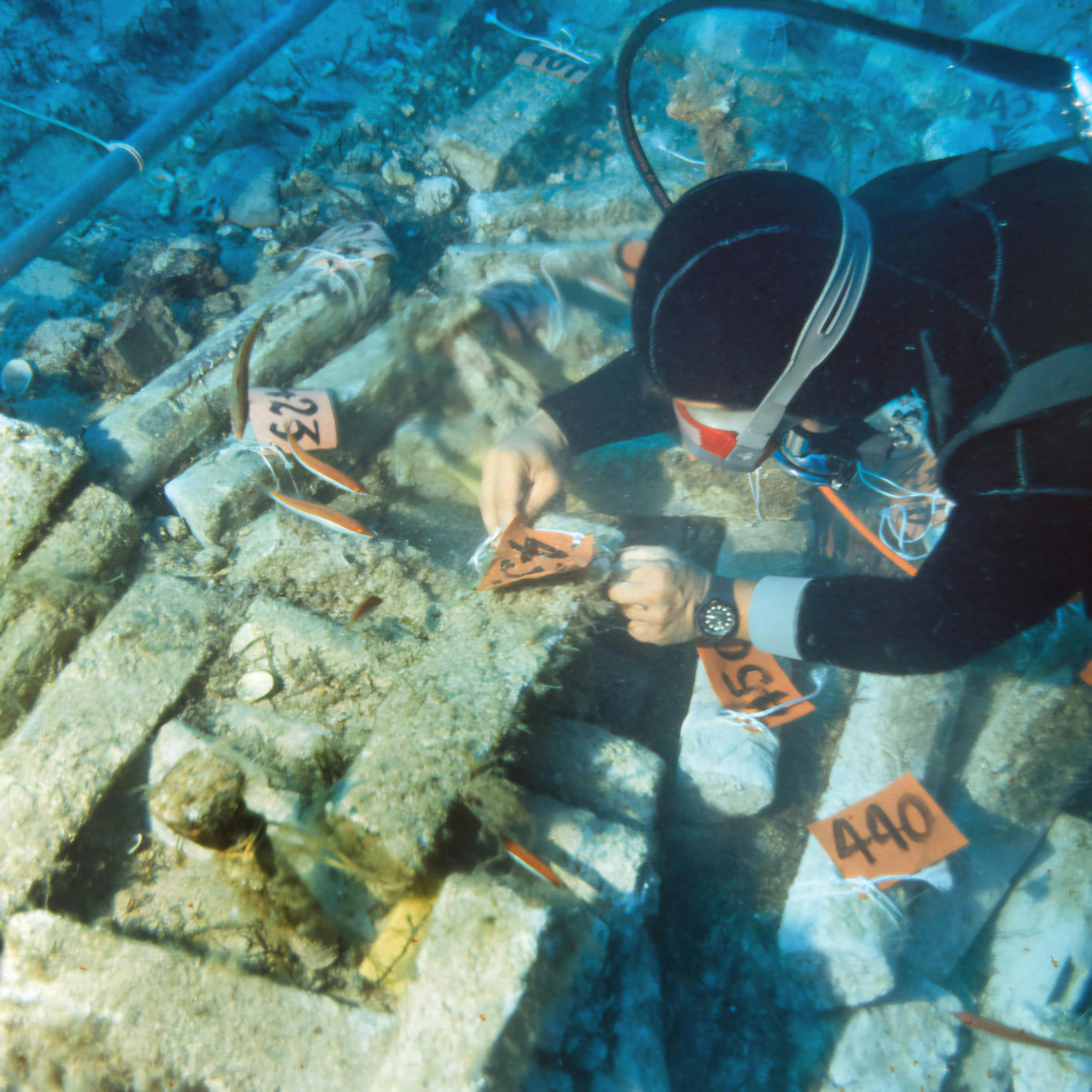 Del piombo romano di 2000 anni per studiare i neutrini - AperiStoria #256