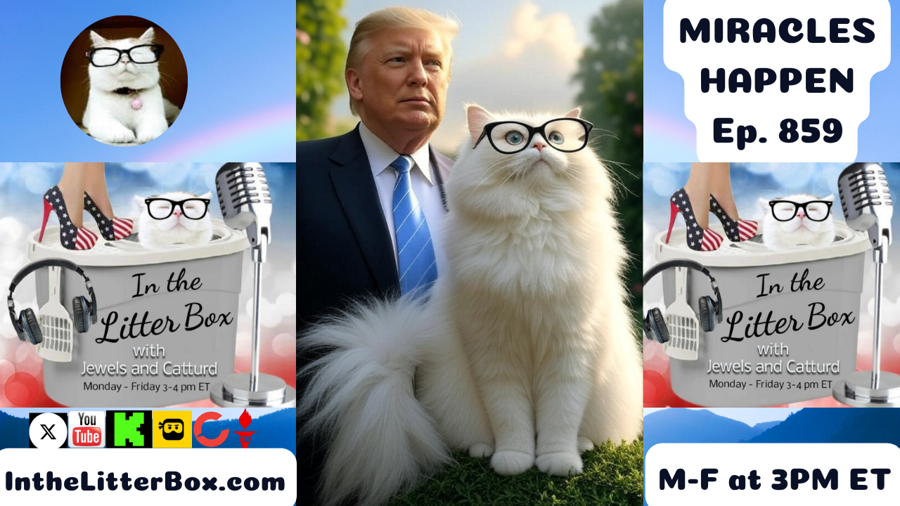 MIRACLES HAPPEN | In the Litter Box w/ Jewels & Catturd – Ep. 859 – 8/8/2025