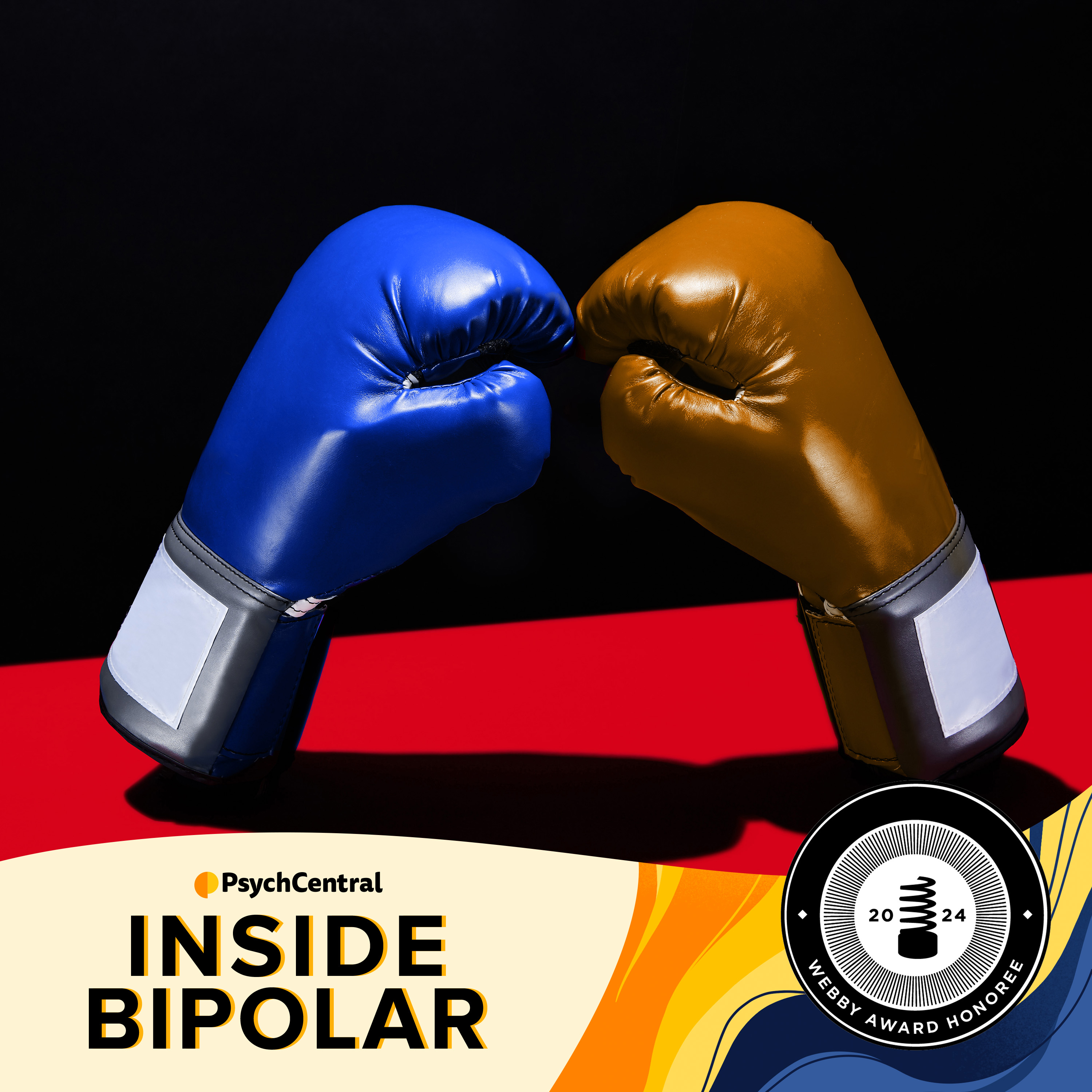 Inside Bipolar