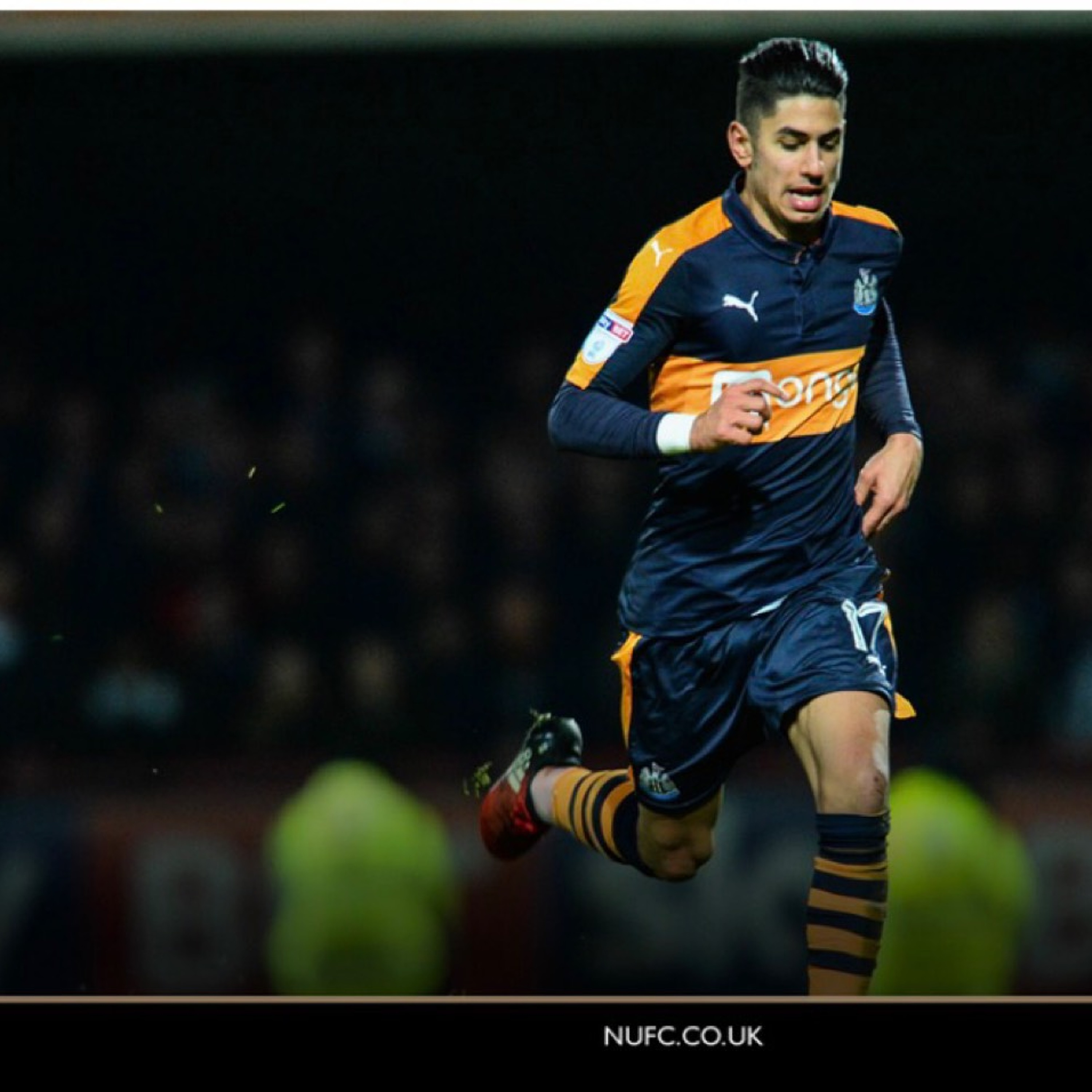 Podcast: Bees Beaten and Daily Mirror Rubbish