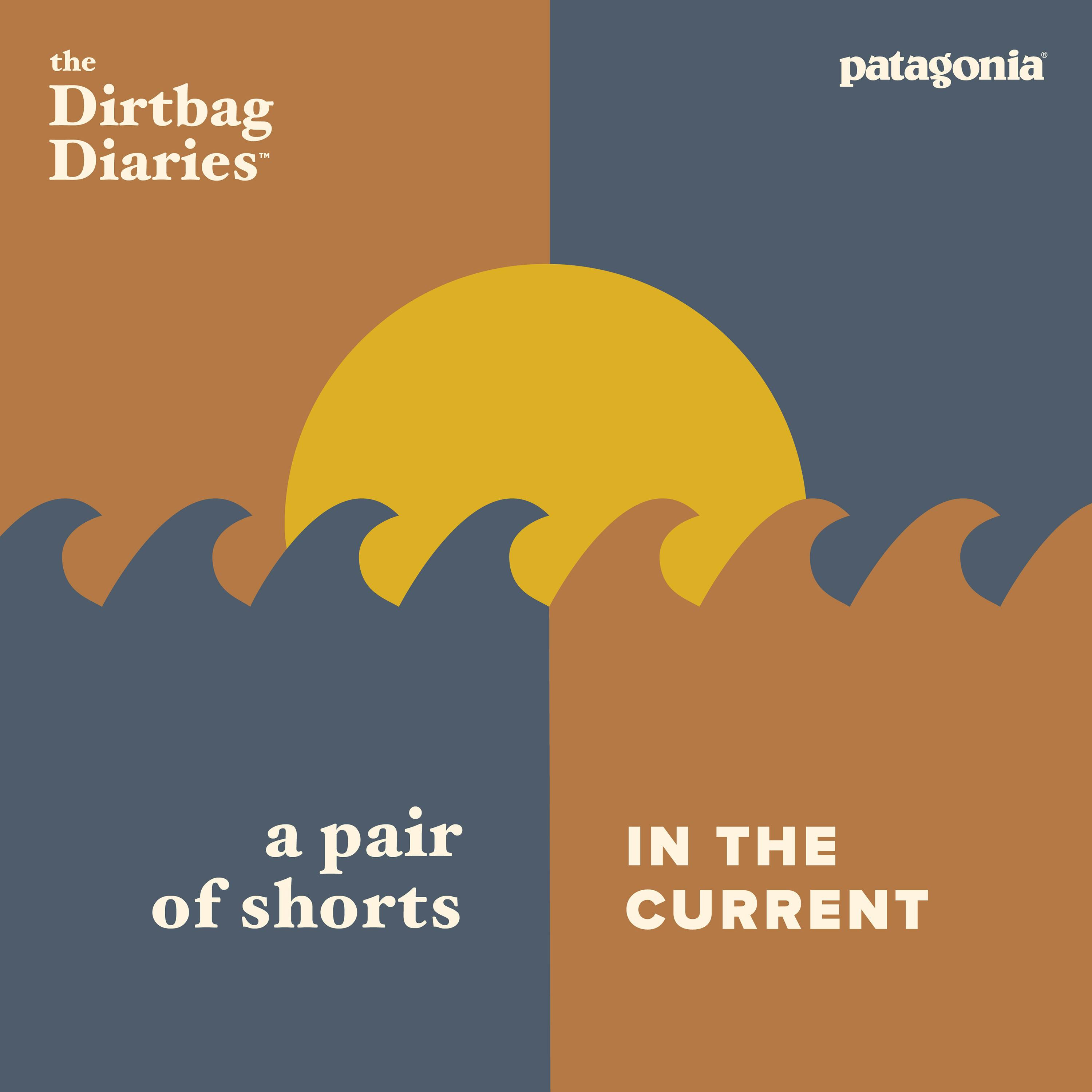 The Shorts--In The Current