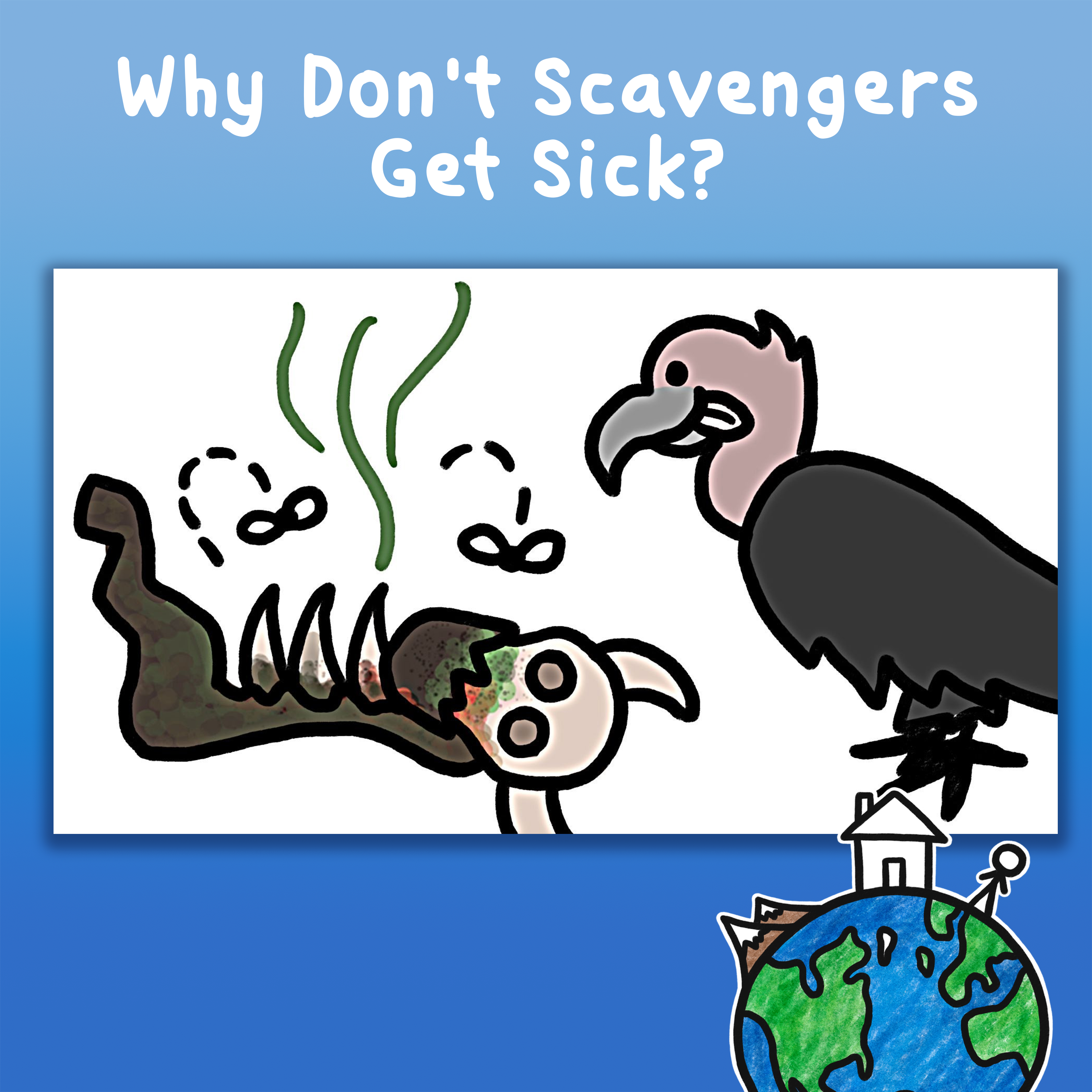 Why Don't Scavengers Get Sick?