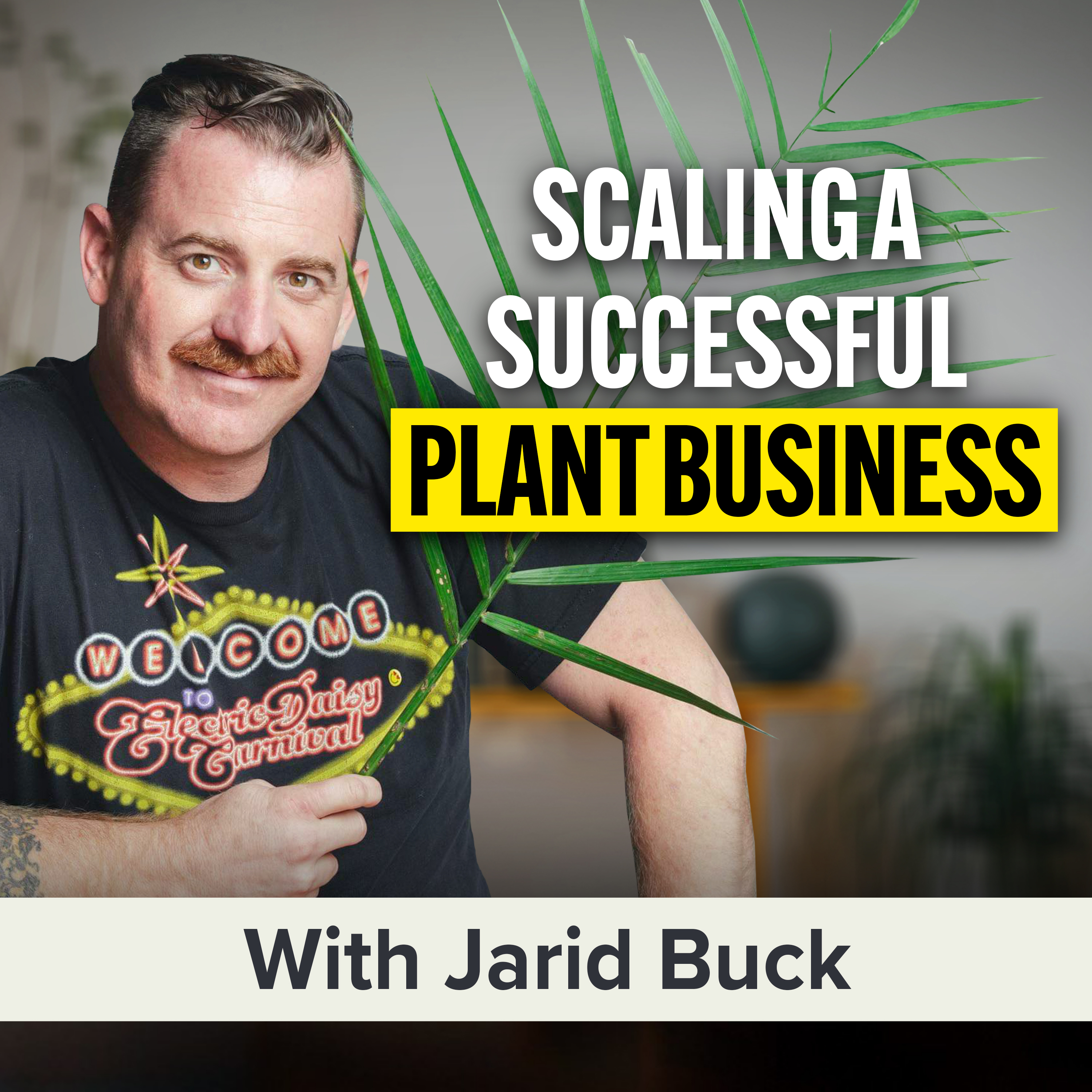 Millionaire University