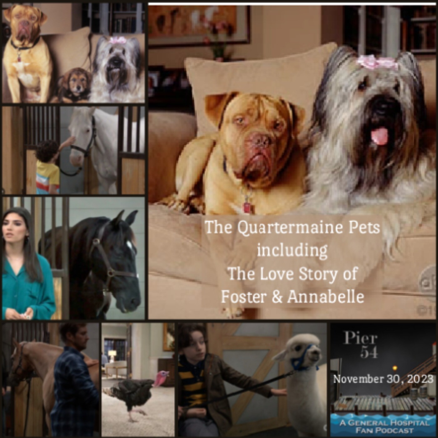 Episode 496: Quartermaine Pets including The Love Story of Annabelle & Foster episode artwork