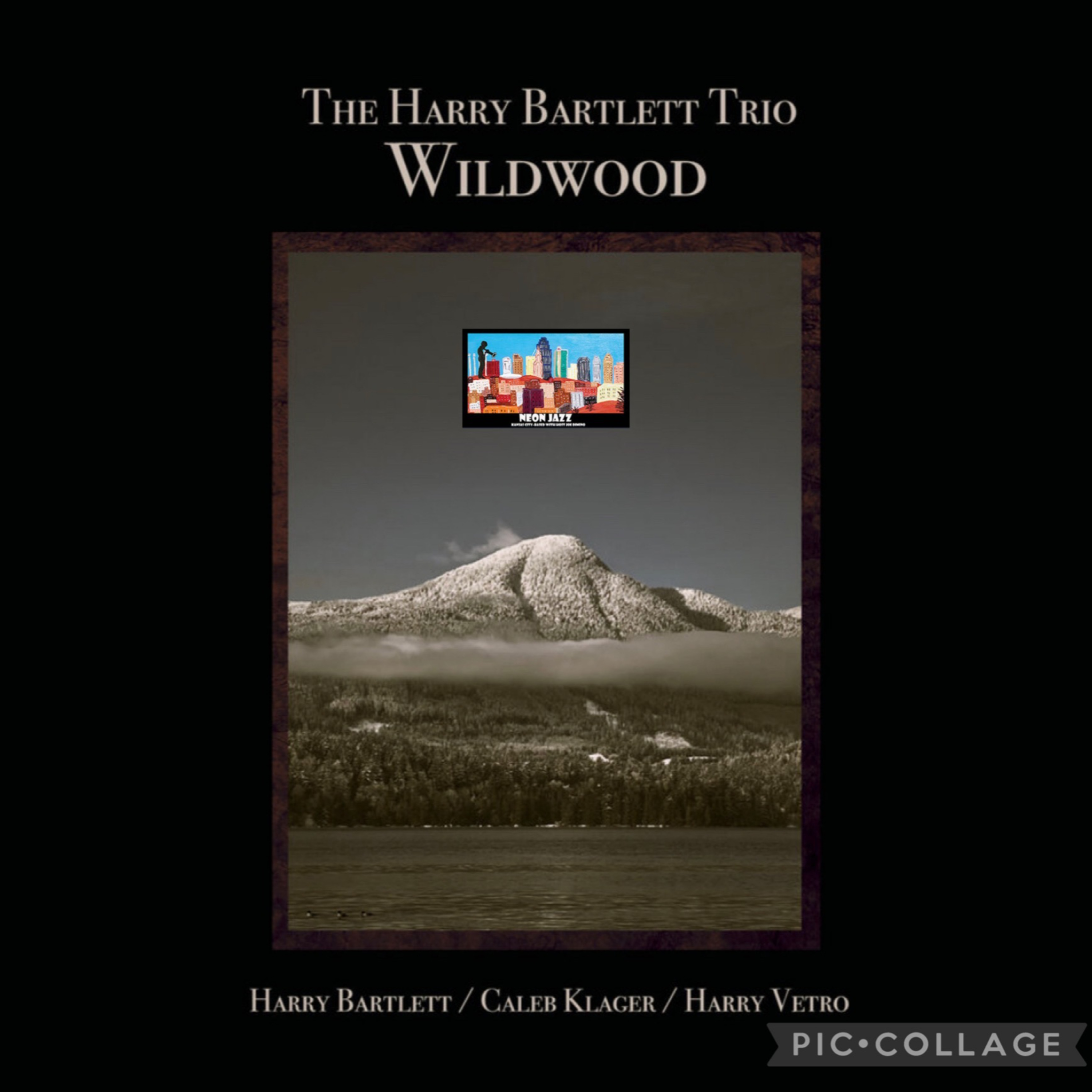Toronto Jazz Guitarist, Composer & Educator Harry Bartlett episode artwork
