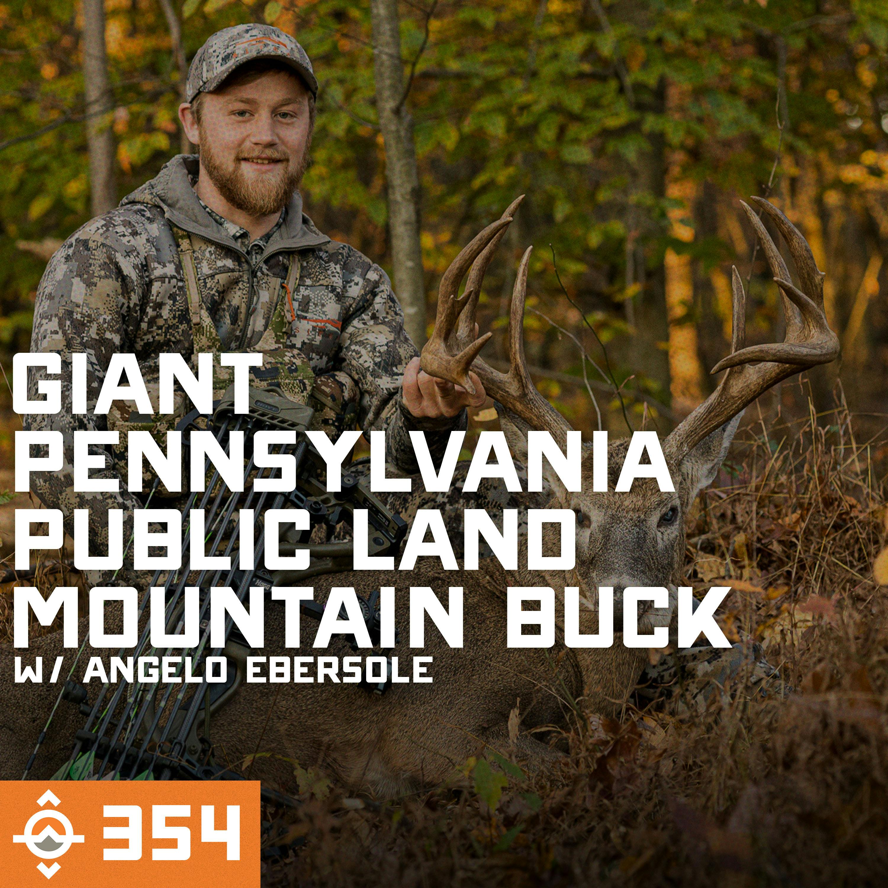 Ep. 354: Giant Pennsylvania Public Land Mountain Buck - Listener Success! with Angelo Ebersole