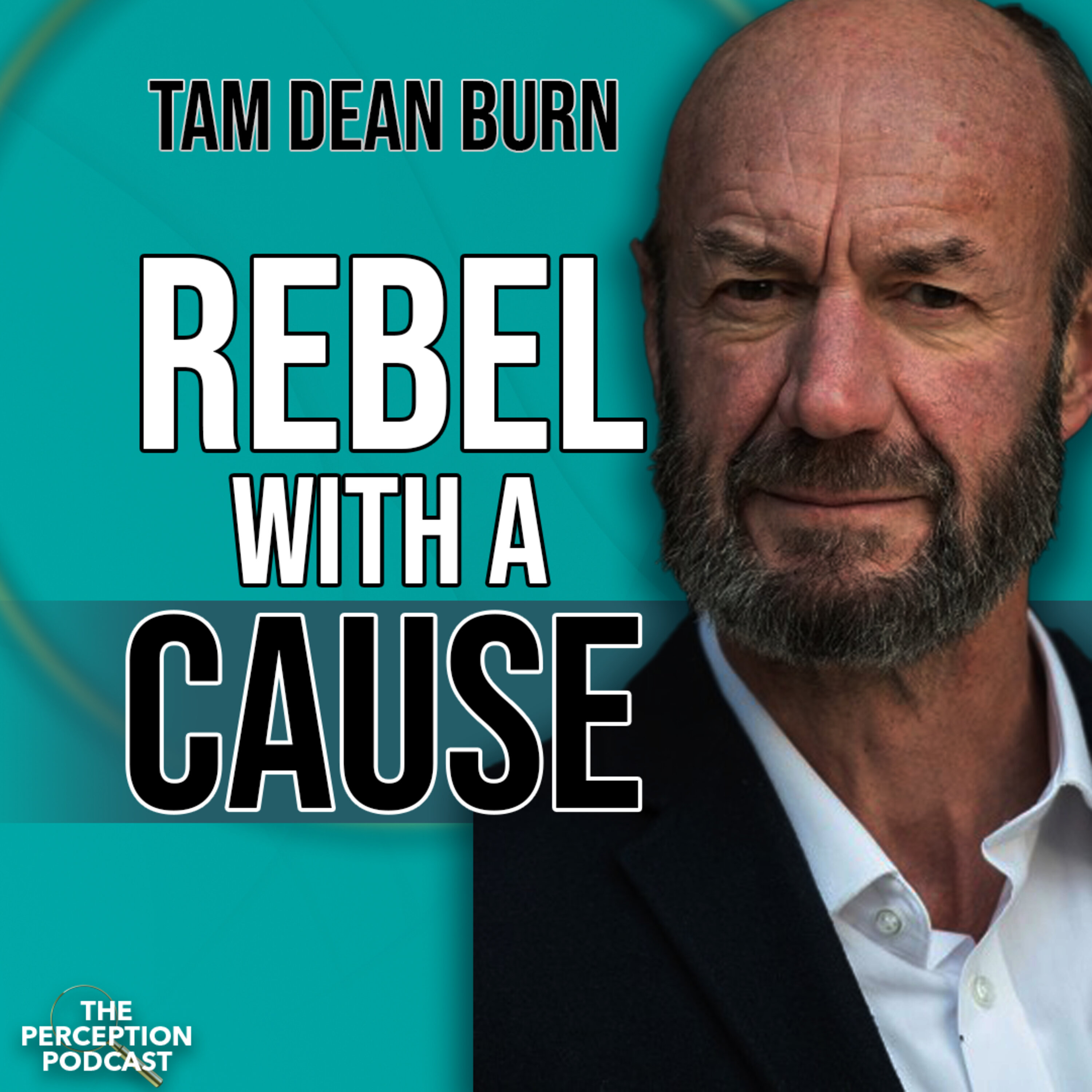 The Perception Podcast