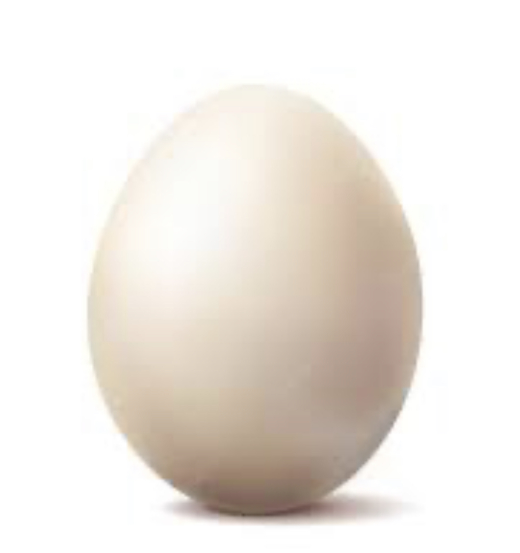 Food for Thought #24 - The Egg episode artwork