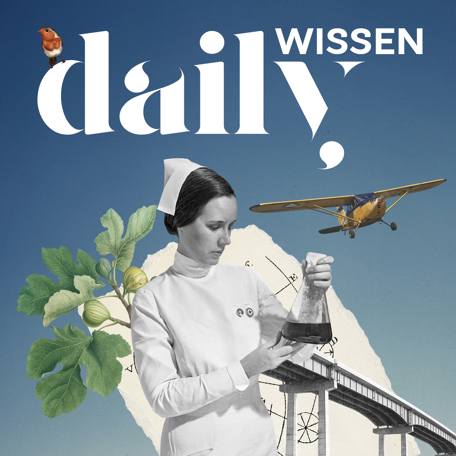 Warum Frauen mehr von Sport profitieren 🏋️‍♀️ episode artwork