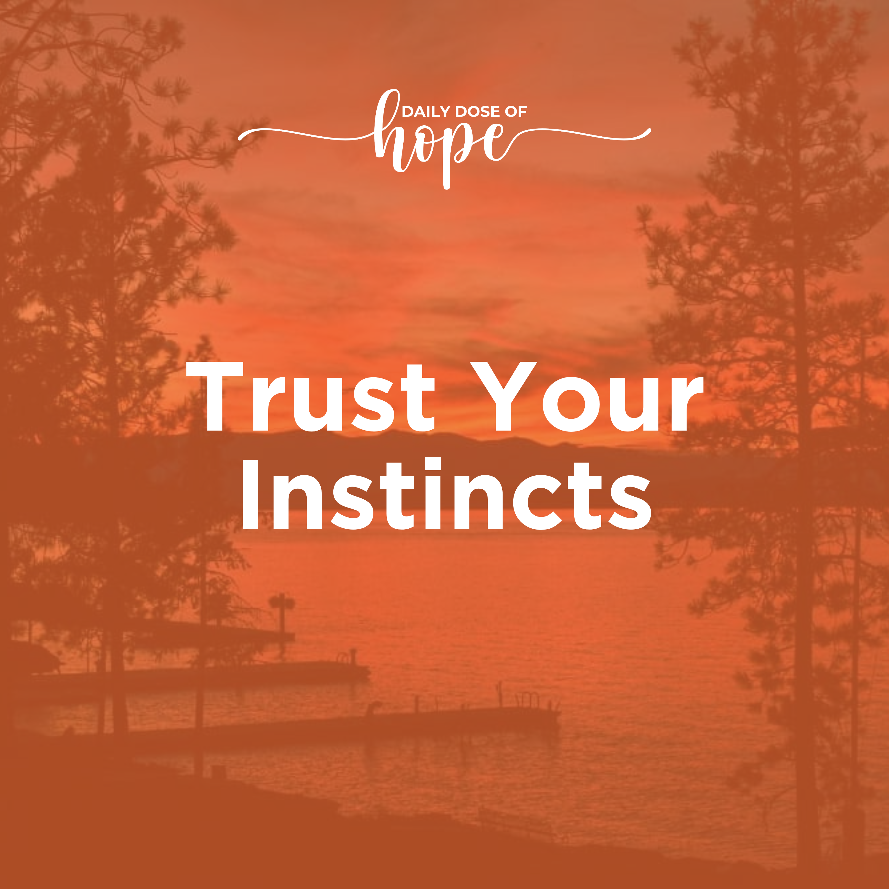 Trust Your Instincts EP 373 episode artwork