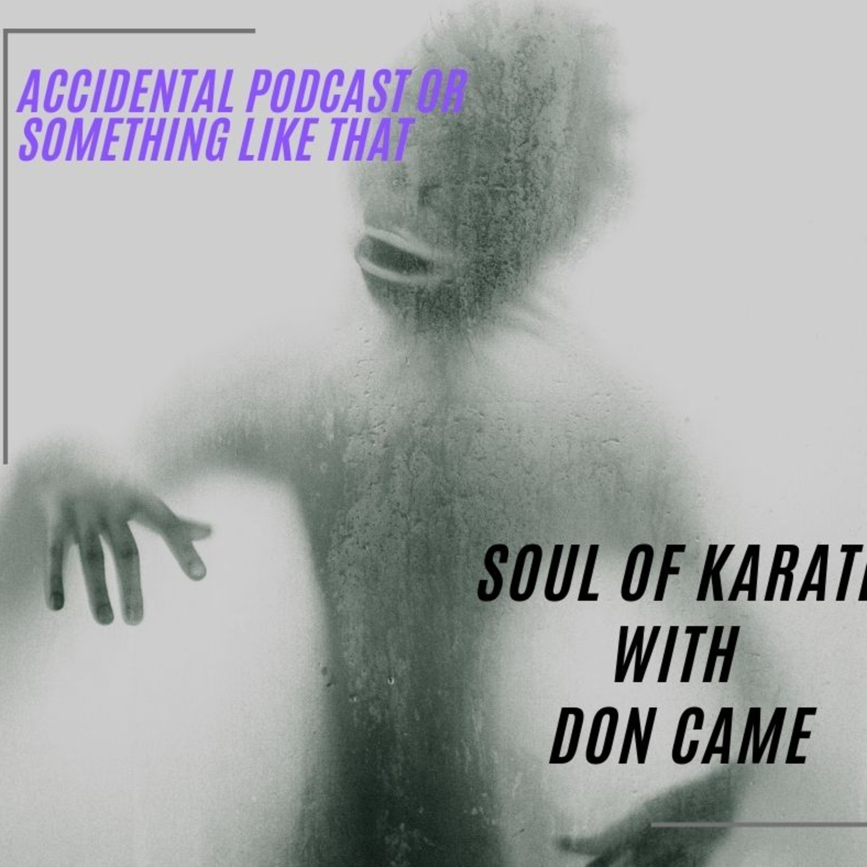 Soul of Karate with Don Came episode artwork