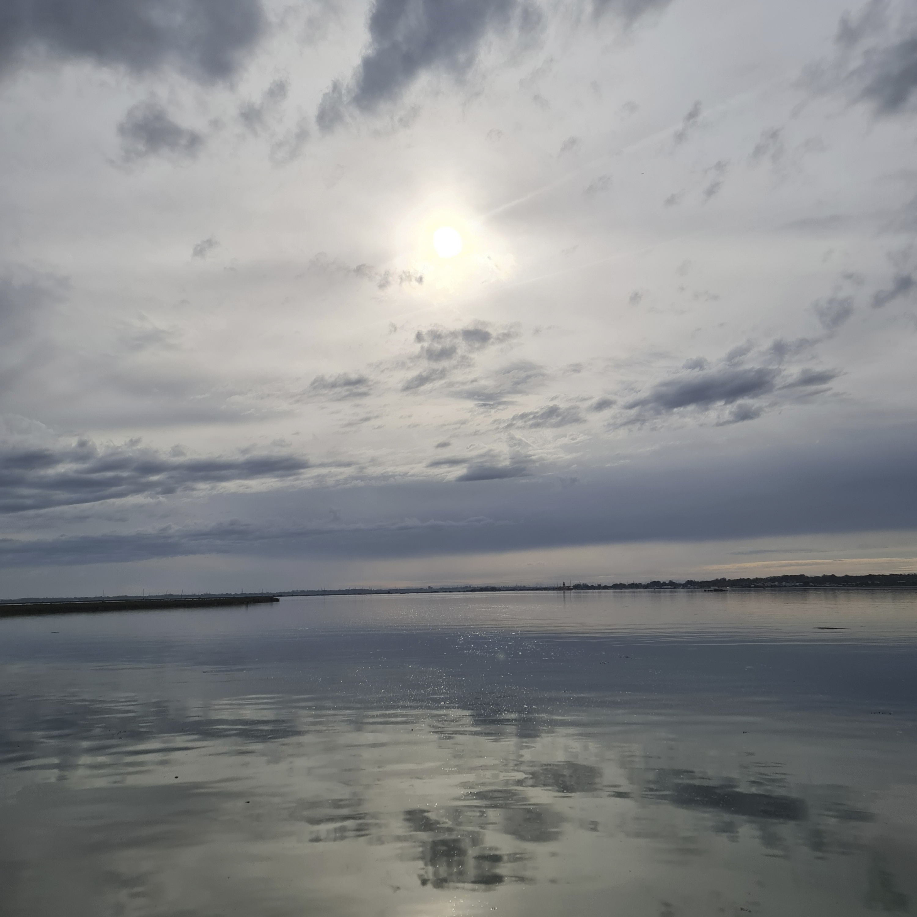 Sound Escape 249. The haunting calls of waders and wild geese on forgotten Essex coast