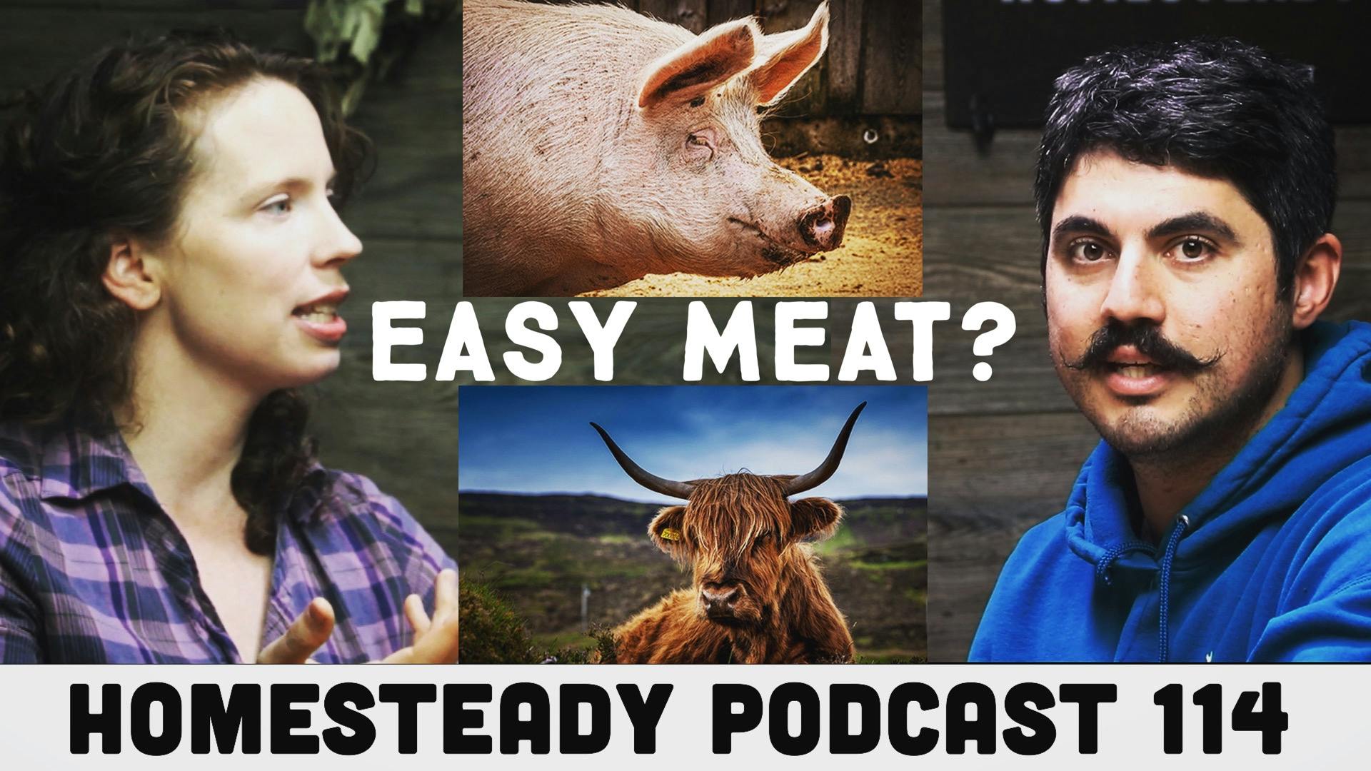 3 EASY MEAT ANIMALS to Raise and Process for BEGINNERS