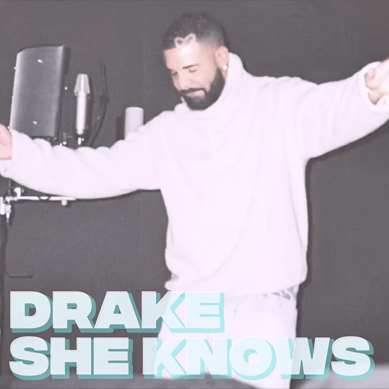 Drake - She Knows episode artwork