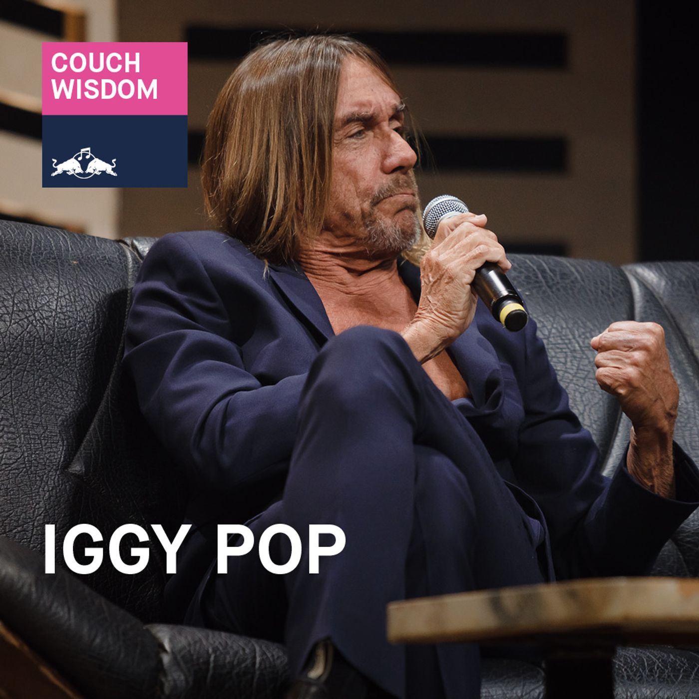 Iggy Pop episode artwork