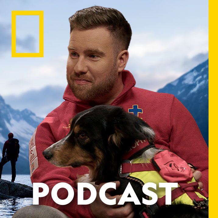 Jak wygląda praca goprowca z psem ratowniczym? Aleksander Karkoszka i Oslo o swoich misjach w górach | National Geographic