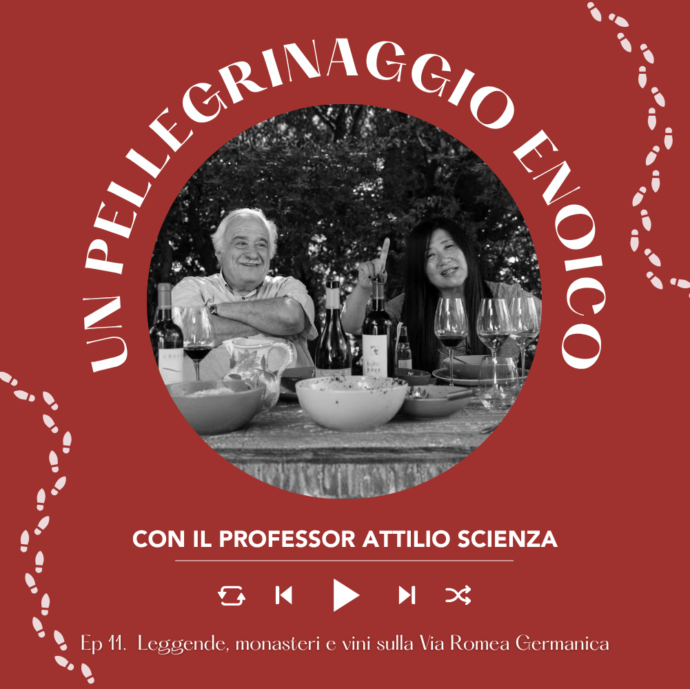 Ep. 2659 Ep. 11: Leggende, monasteri e vini sulla Via Romea Germanica | Pellegrinaggio Enoico con Attilio Scienza