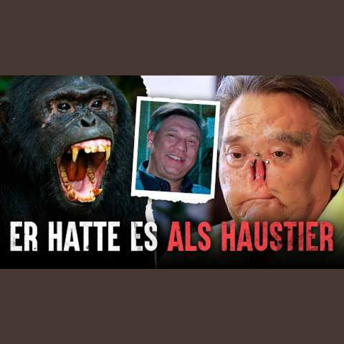 Die tödlichsten Affenangriffe: Die Tragödie von St. James Davis