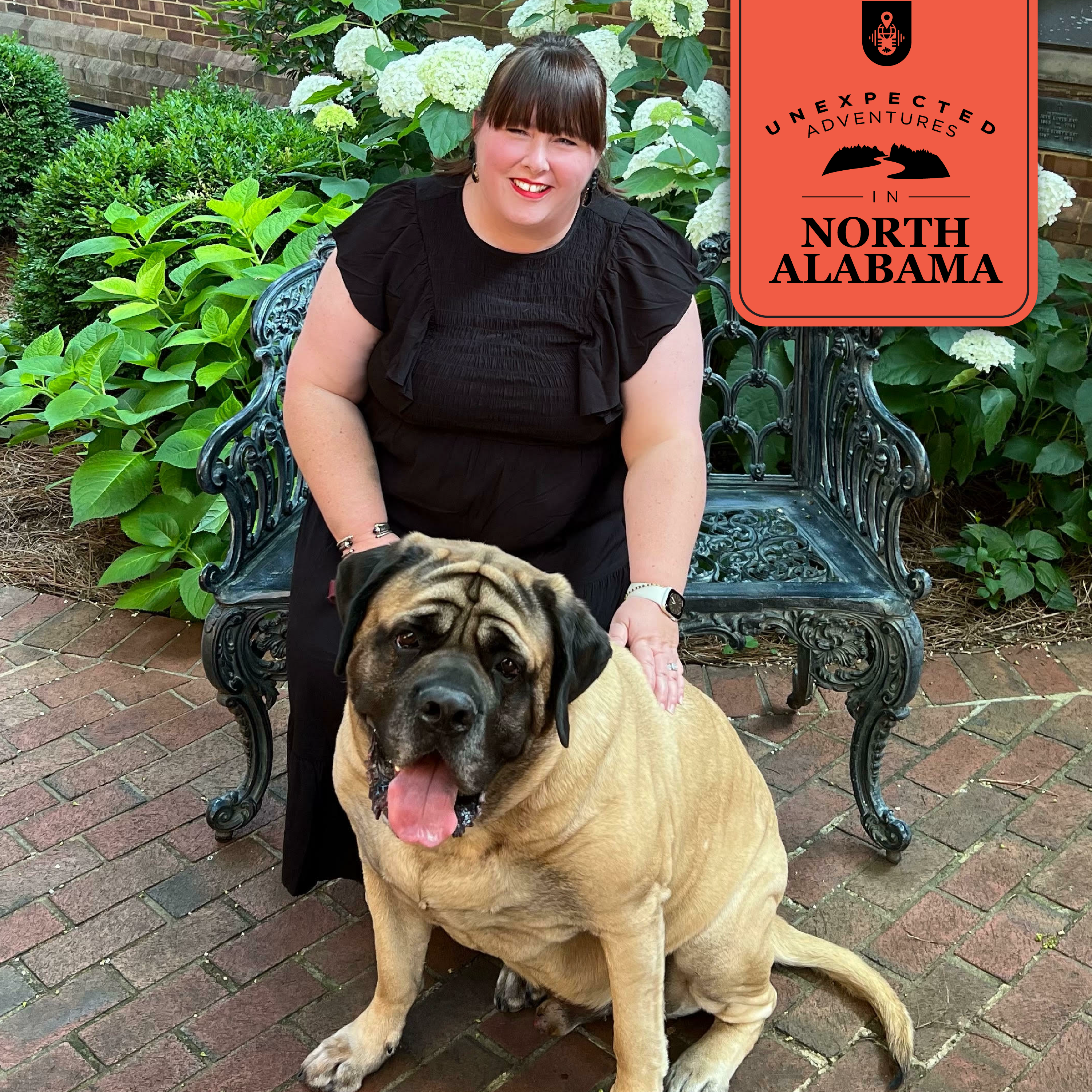 78: Dog-Friendly Spots in North Alabama episode artwork