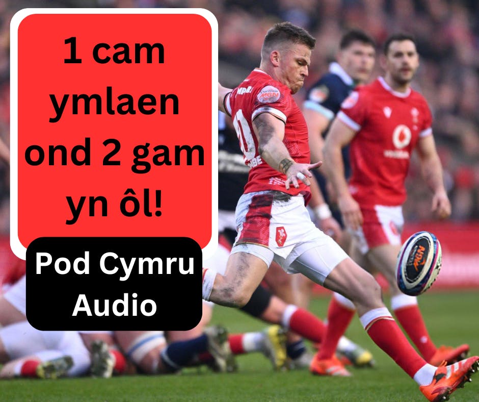 1 cam ymlaen ond 2 gam yn ôl!
