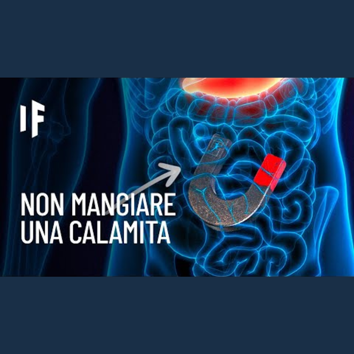 E se inghiottissi il magnete più potente al mondo? episode artwork