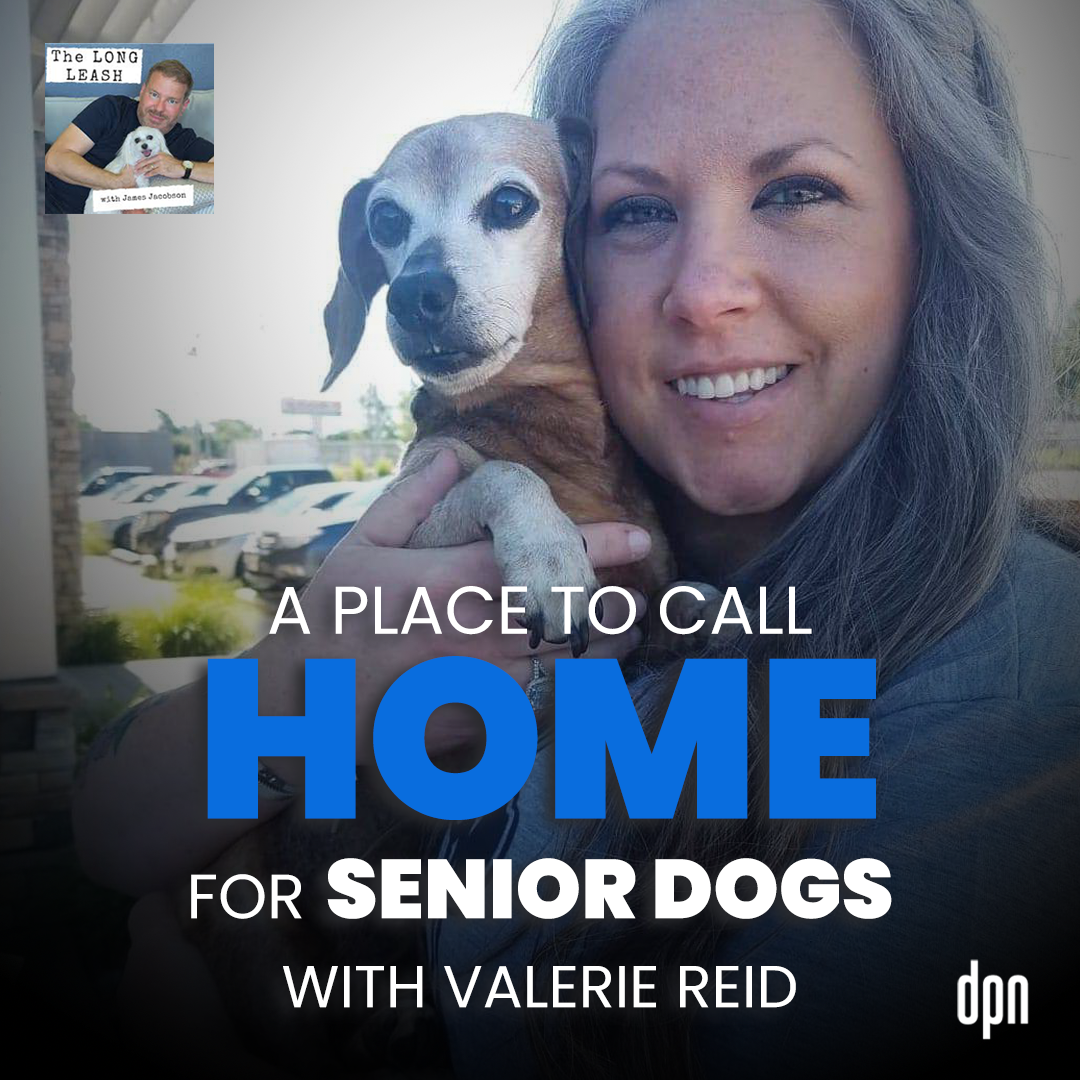 A Place to Call Home for Senior Dogs with Valerie Reid | The Long Leash #65