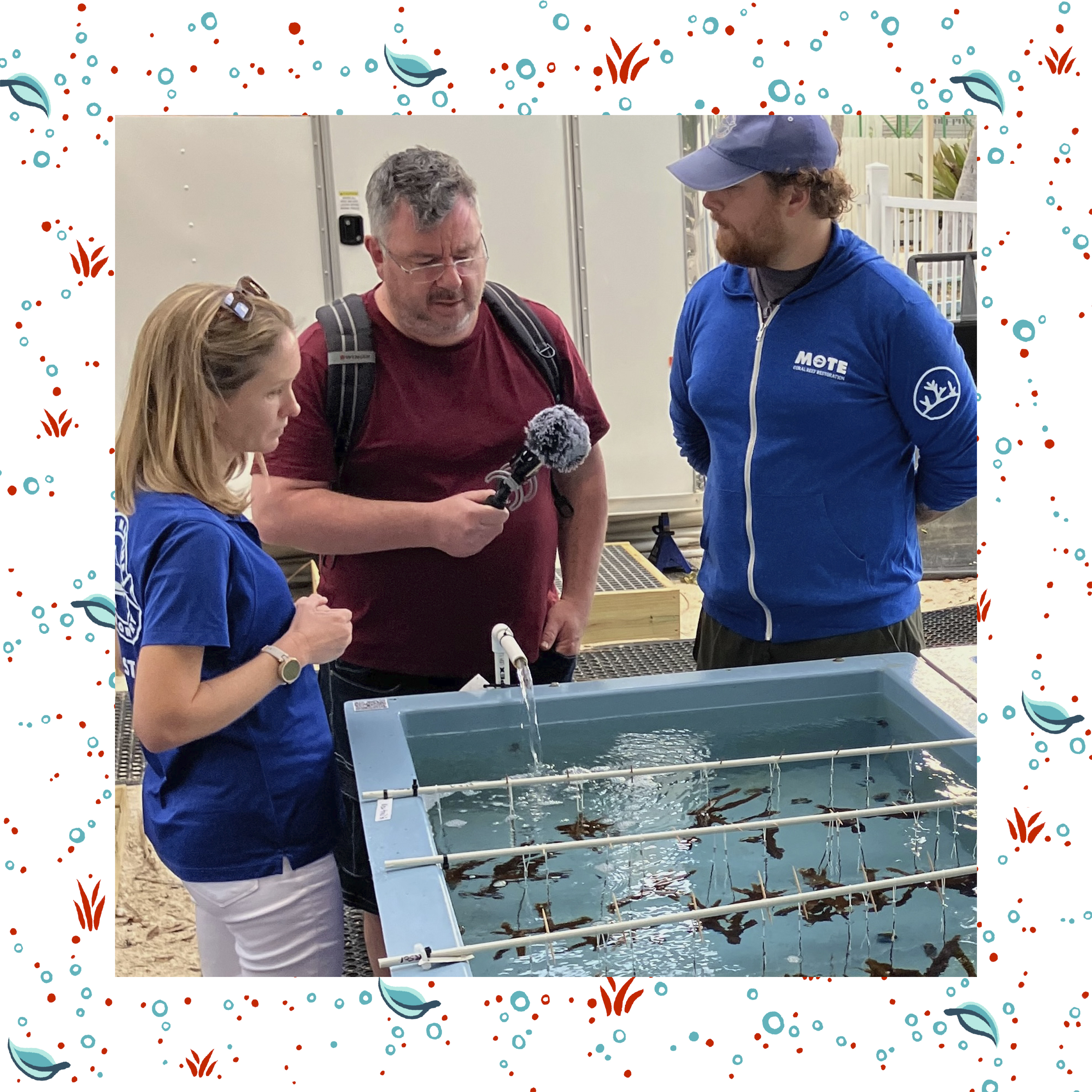 How to rebuild a coral reef, with Erin Muir and Lou Schekler episode artwork