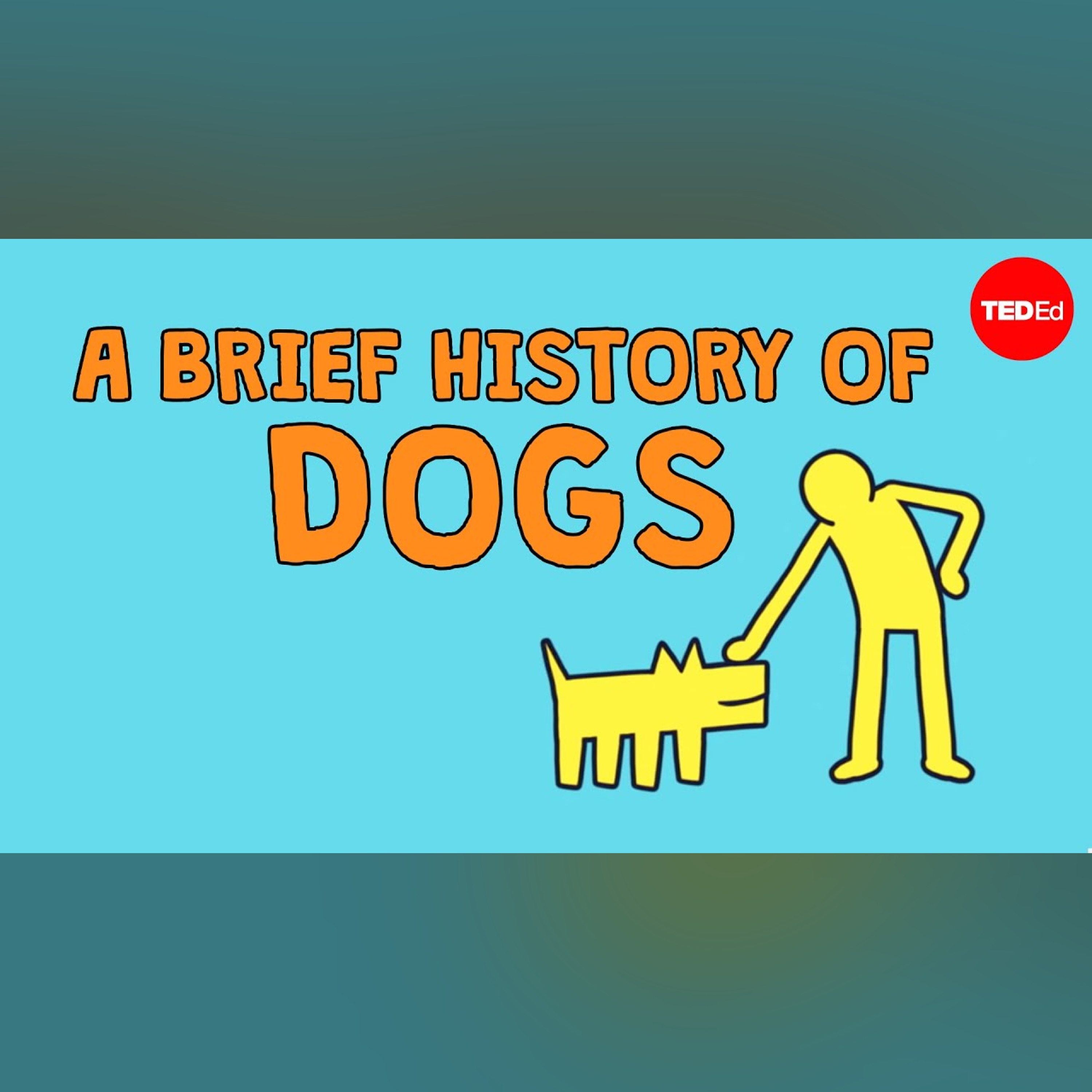 A brief history of dogs - David Ian Howe