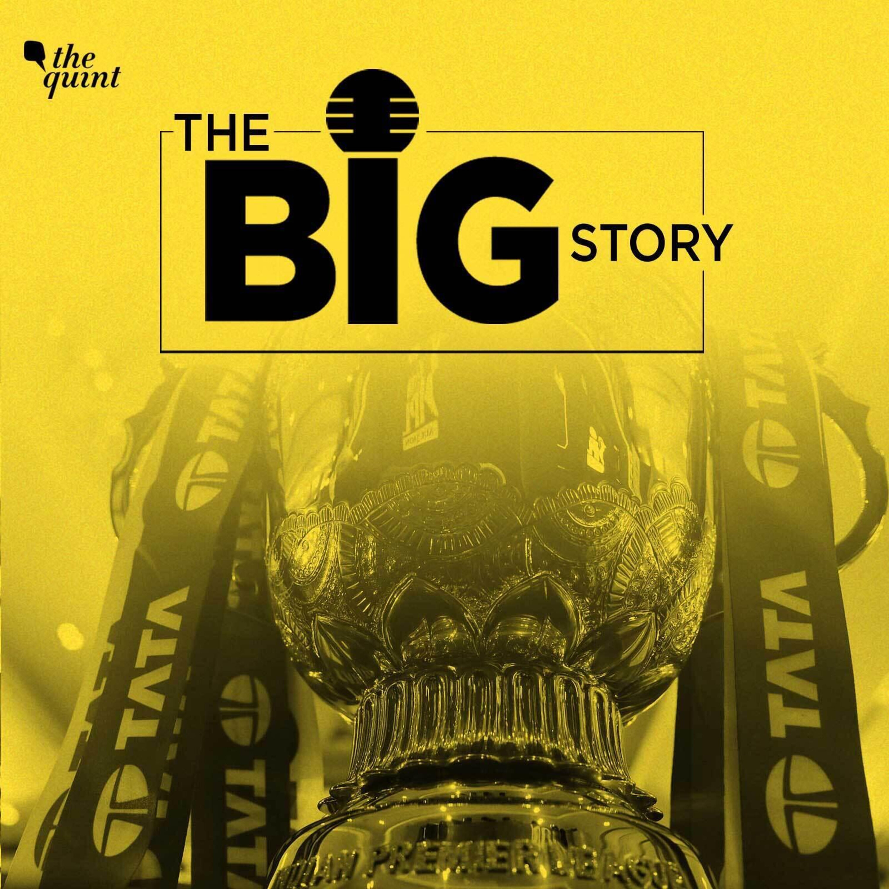 'Hoping for More': Fans Speak on MI, CSK, KKR Performance in IPL 2022